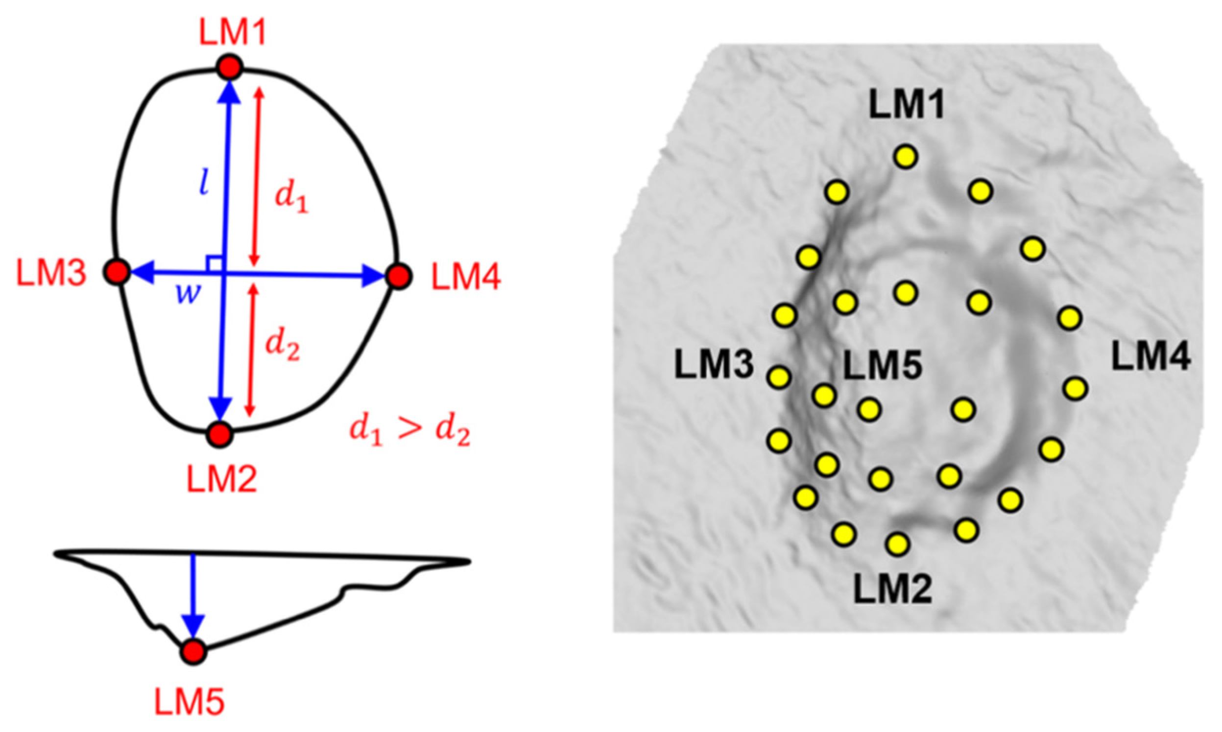 Applsci 11 07848 g003