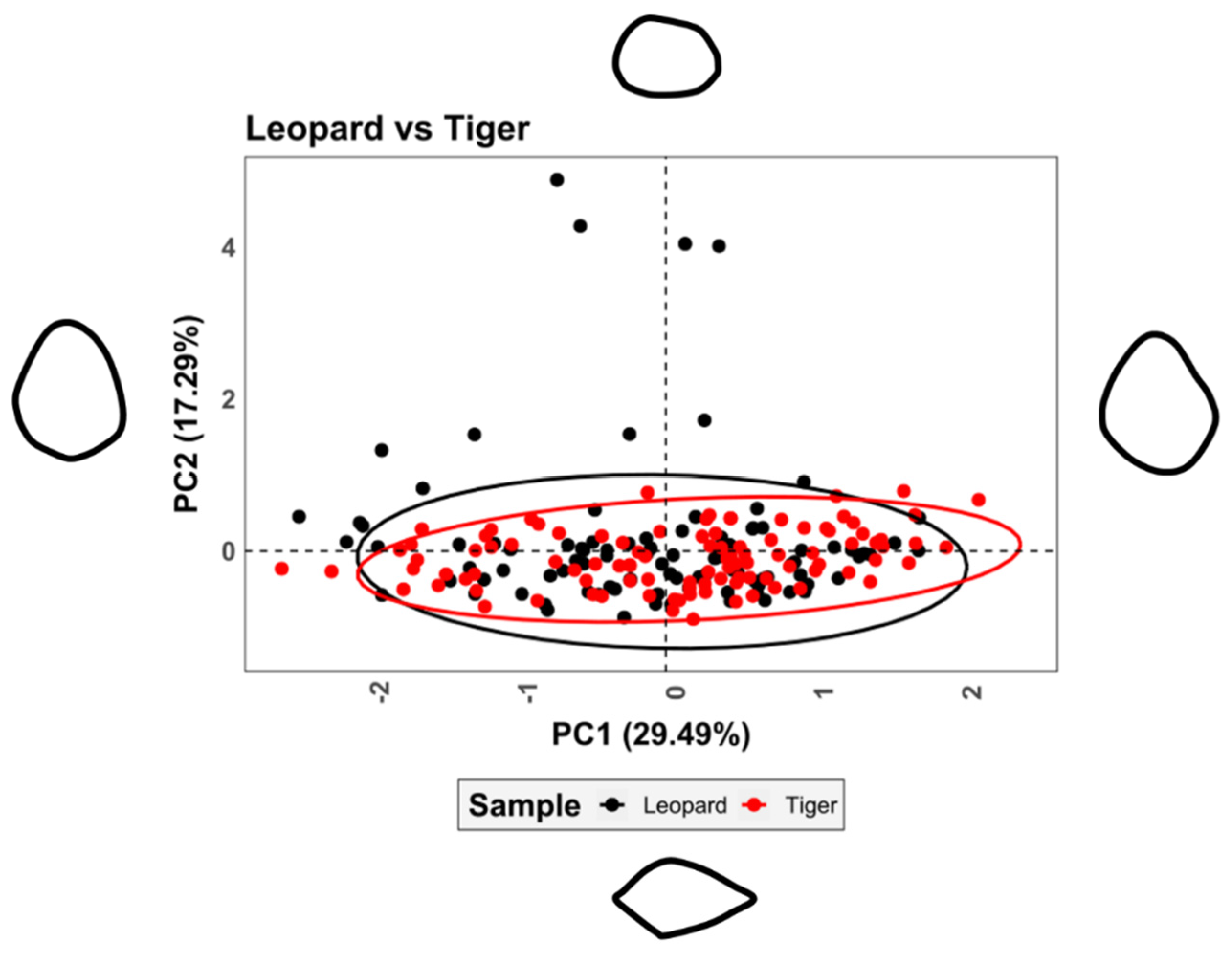 Applsci 11 07848 g004
