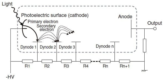 Applsci 11 07849 i006