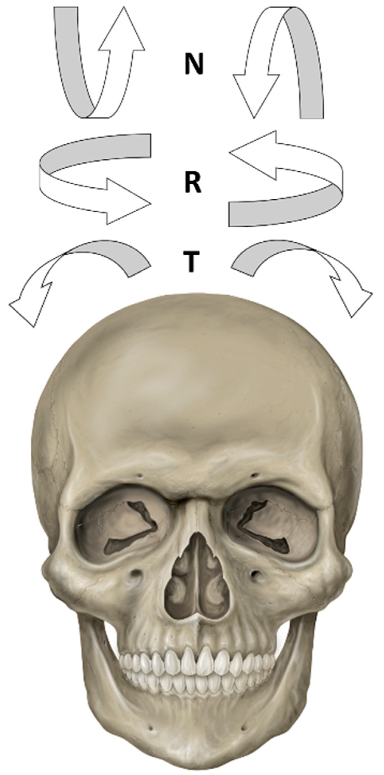 Applsci 11 07858 g001