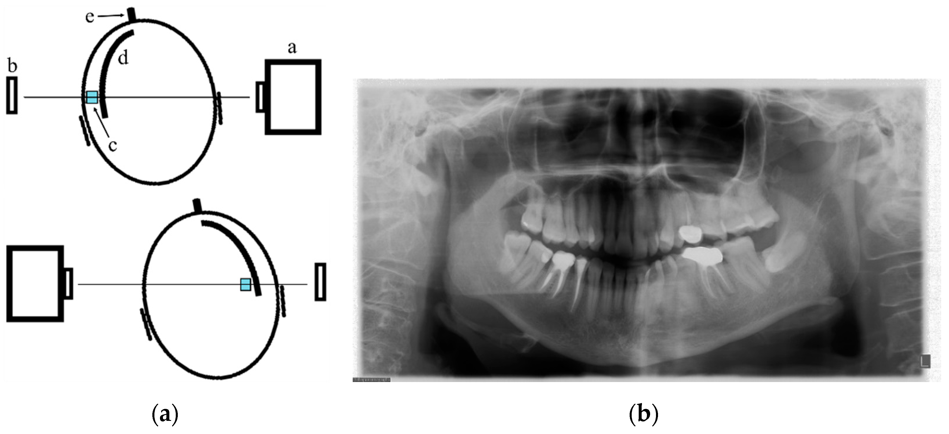 Applsci 11 07858 g002