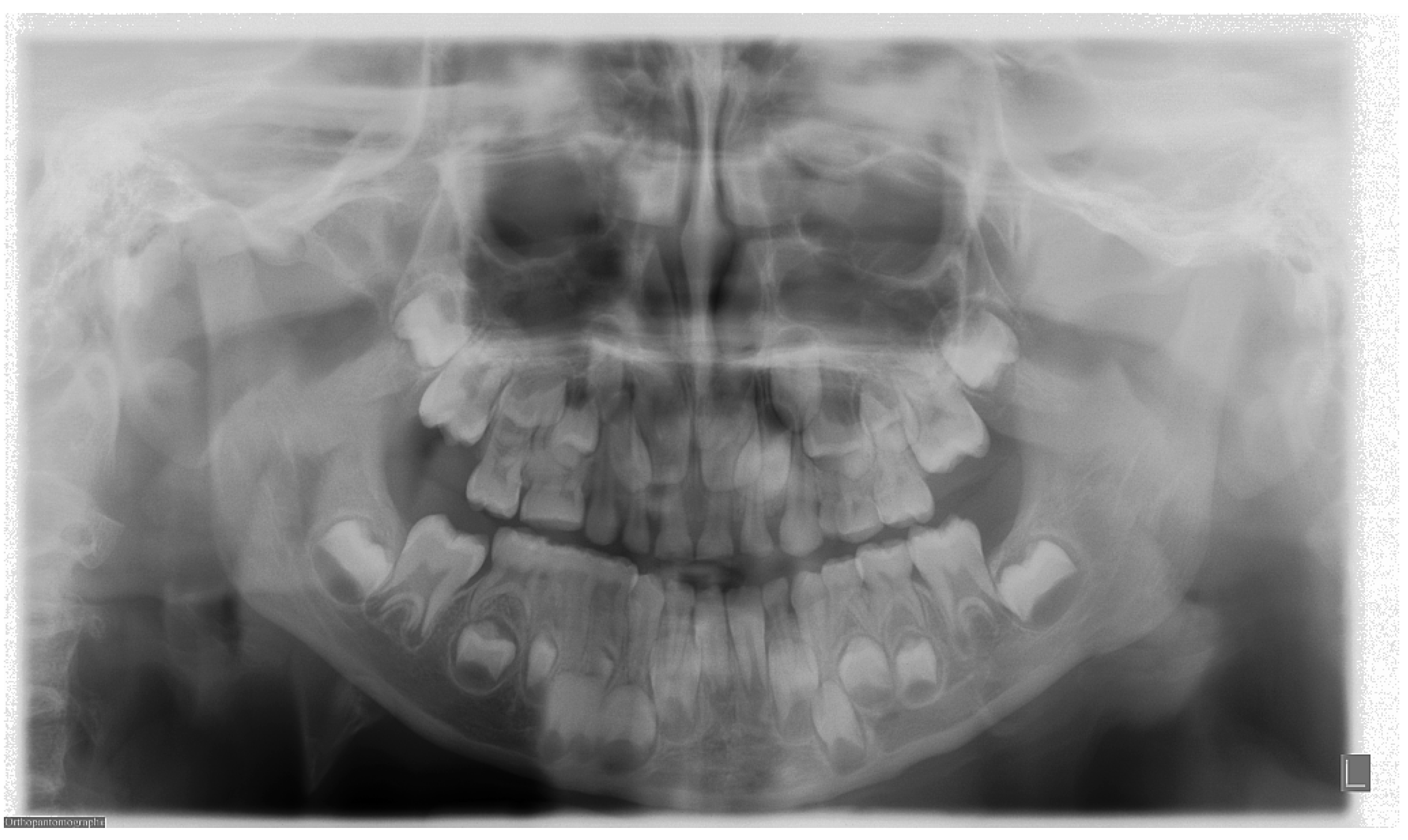 Applsci 11 07858 g012