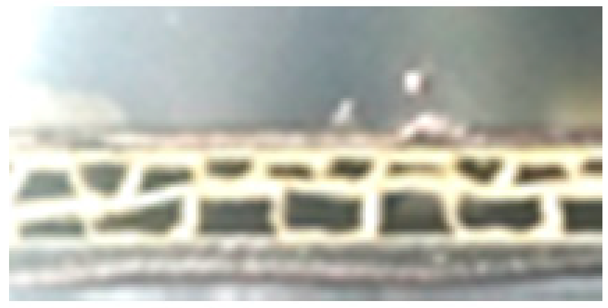 Applsci 11 07867 i051