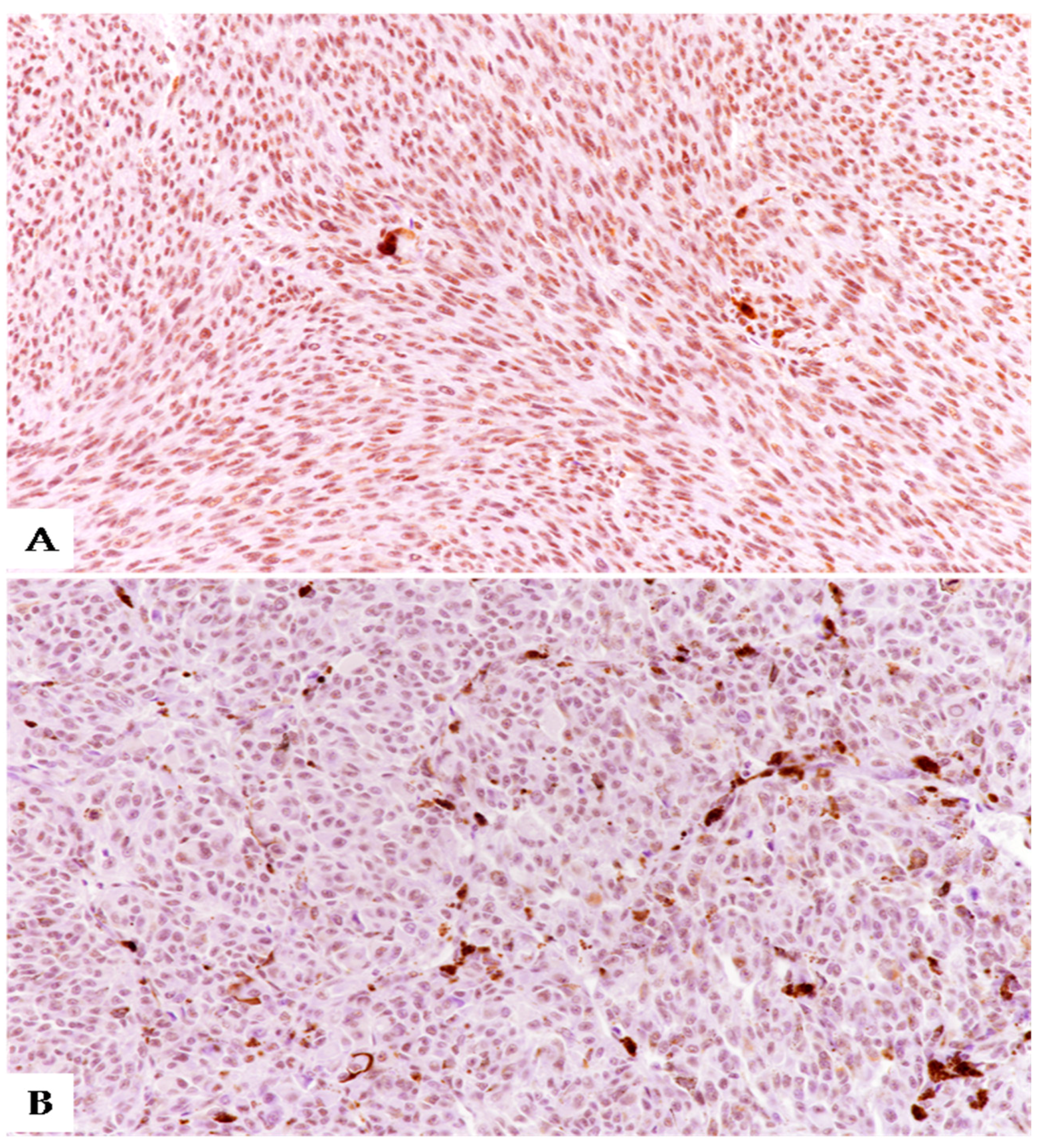 Applsci 11 07874 g001