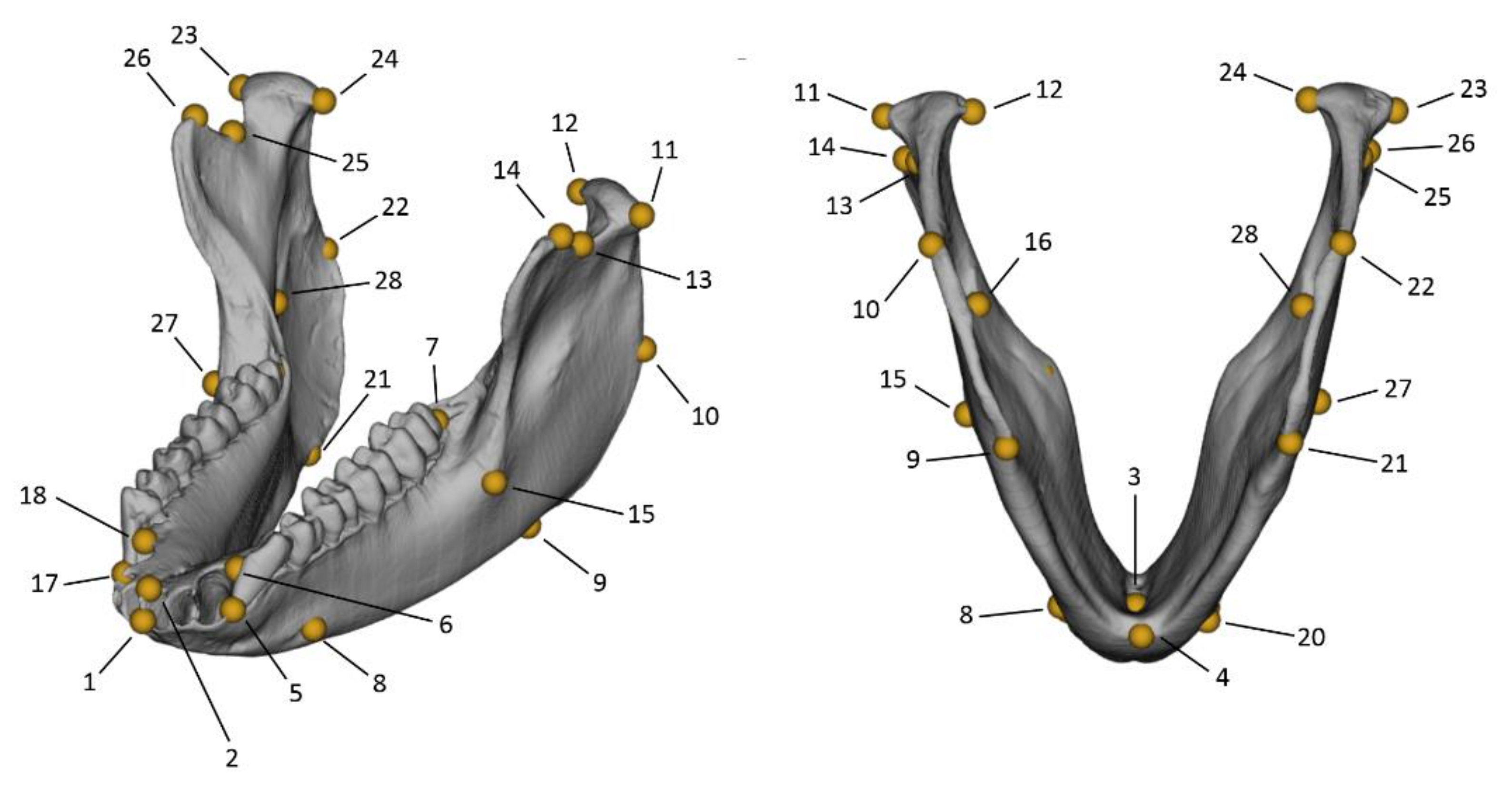 Applsci 11 07879 g001 Applsci 11 07879 g001