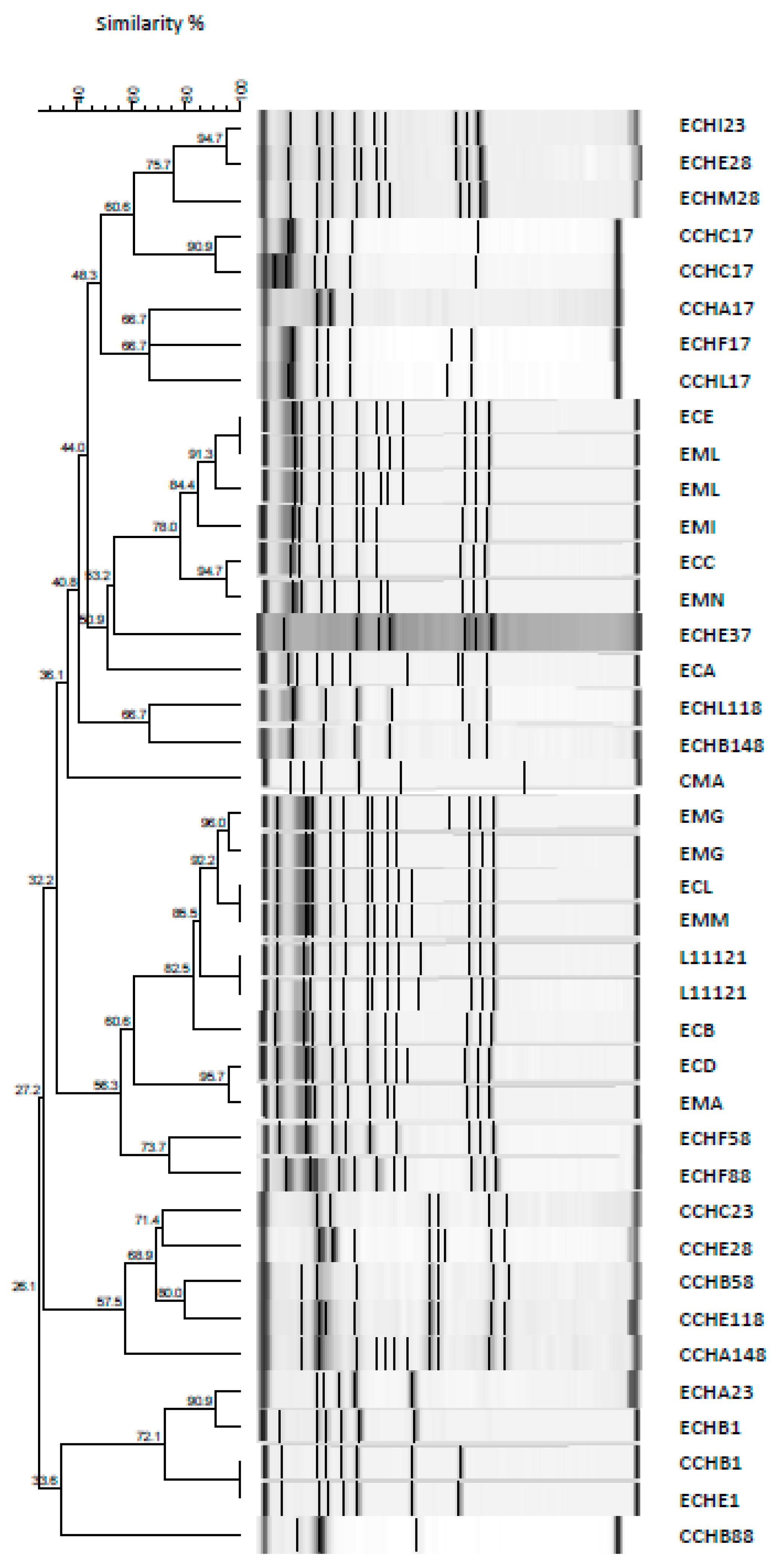 Applsci 11 07897 g003