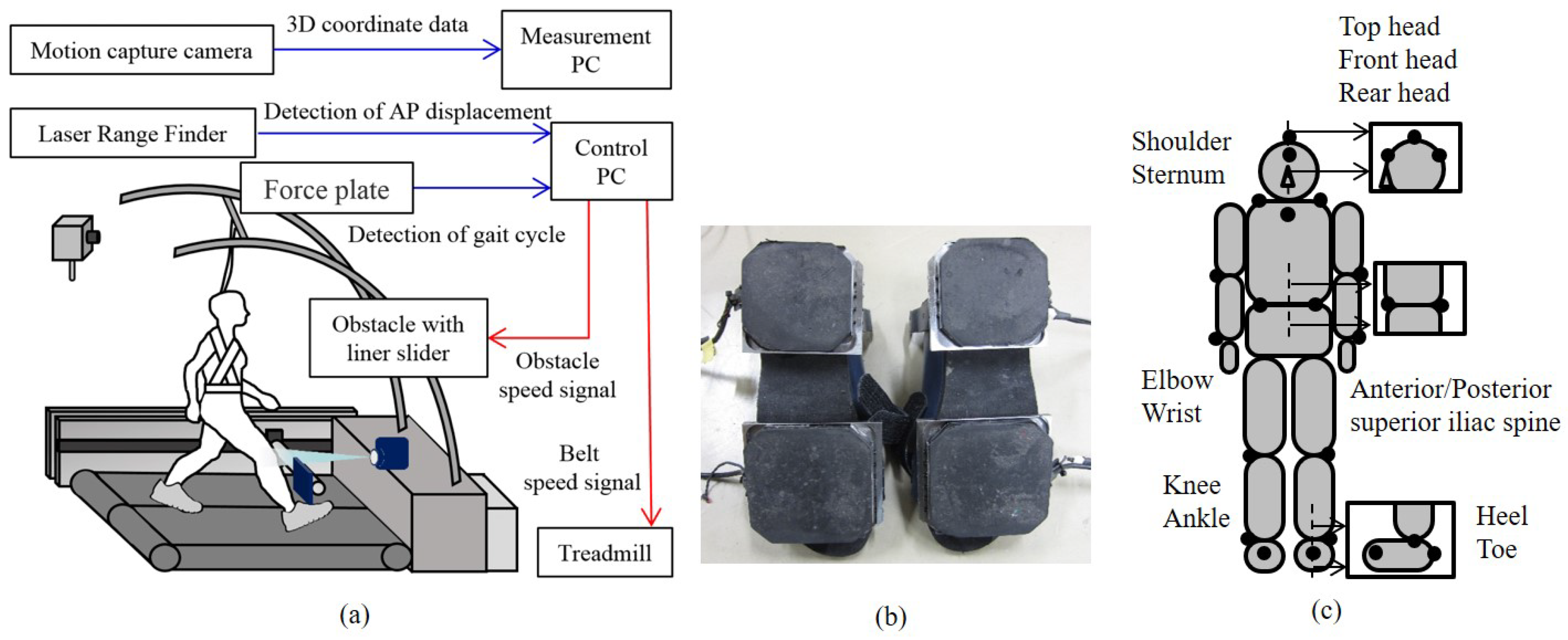 Applsci 11 07908 g001 550