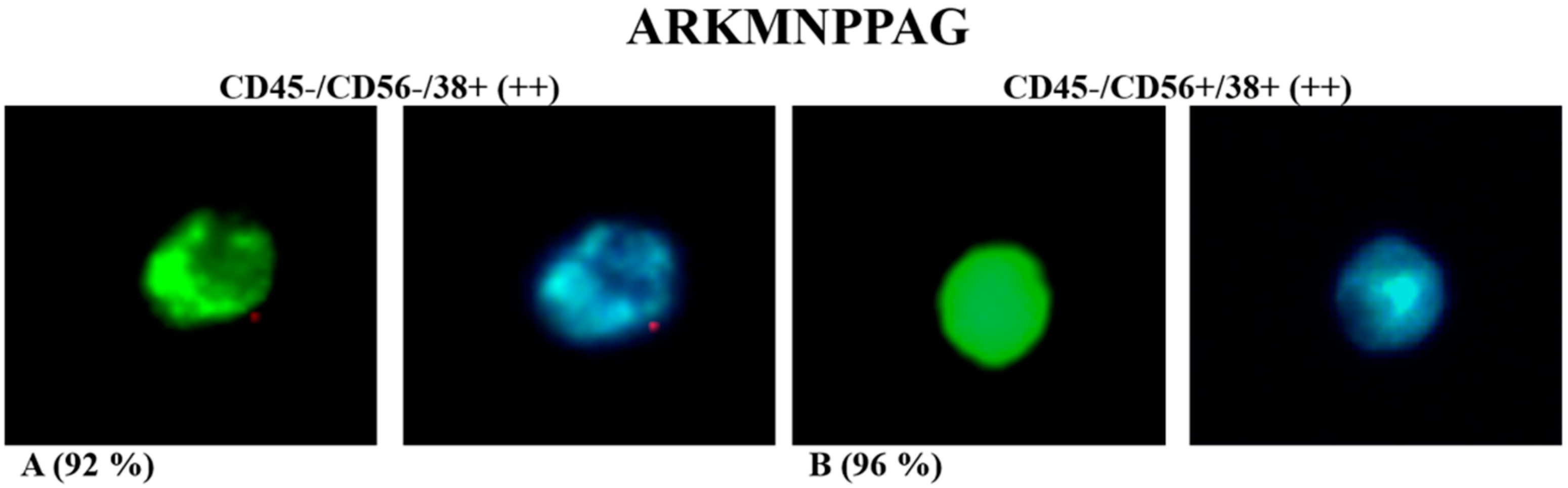 Applsci 11 07910 g002 550