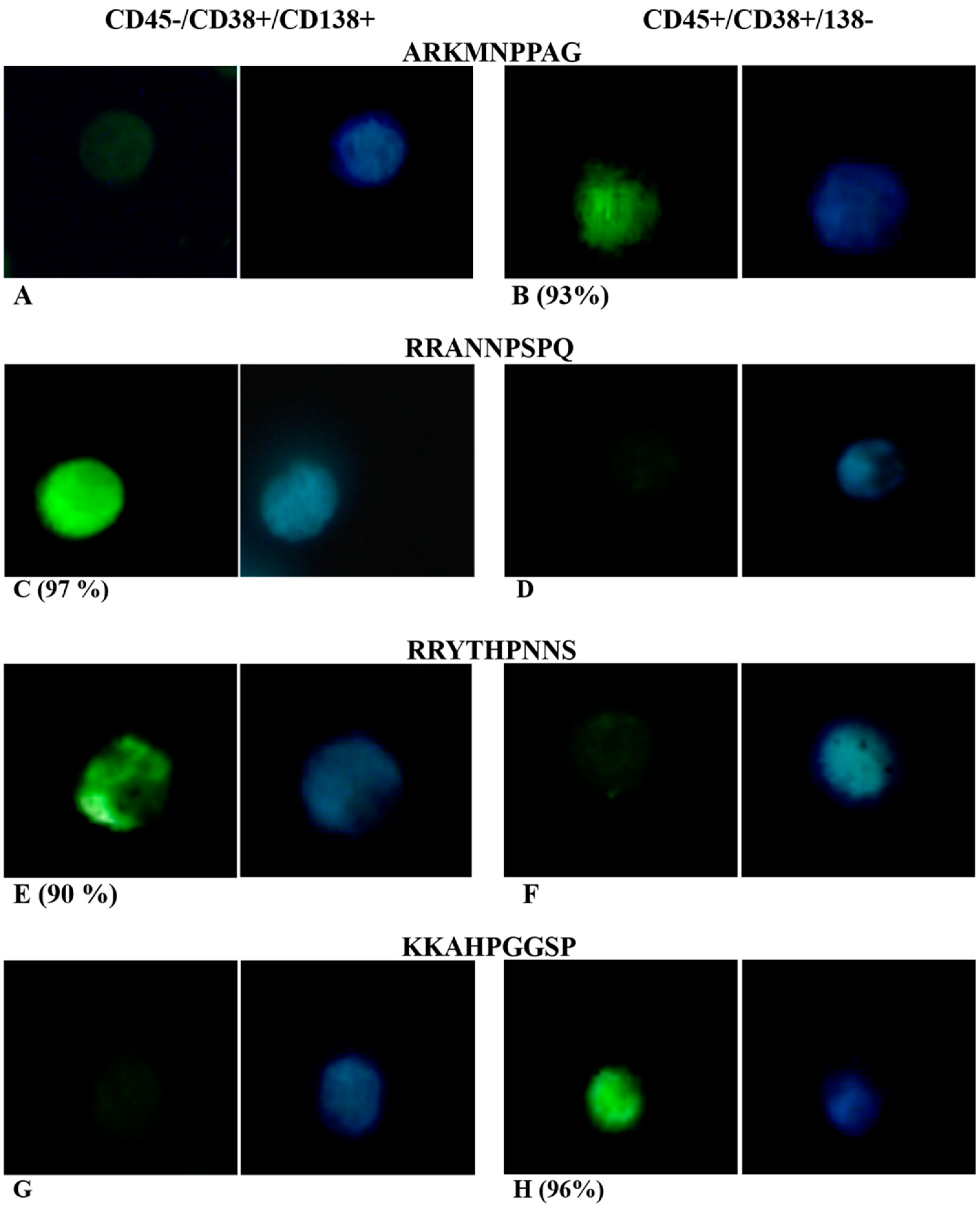 Applsci 11 07910 g003 550