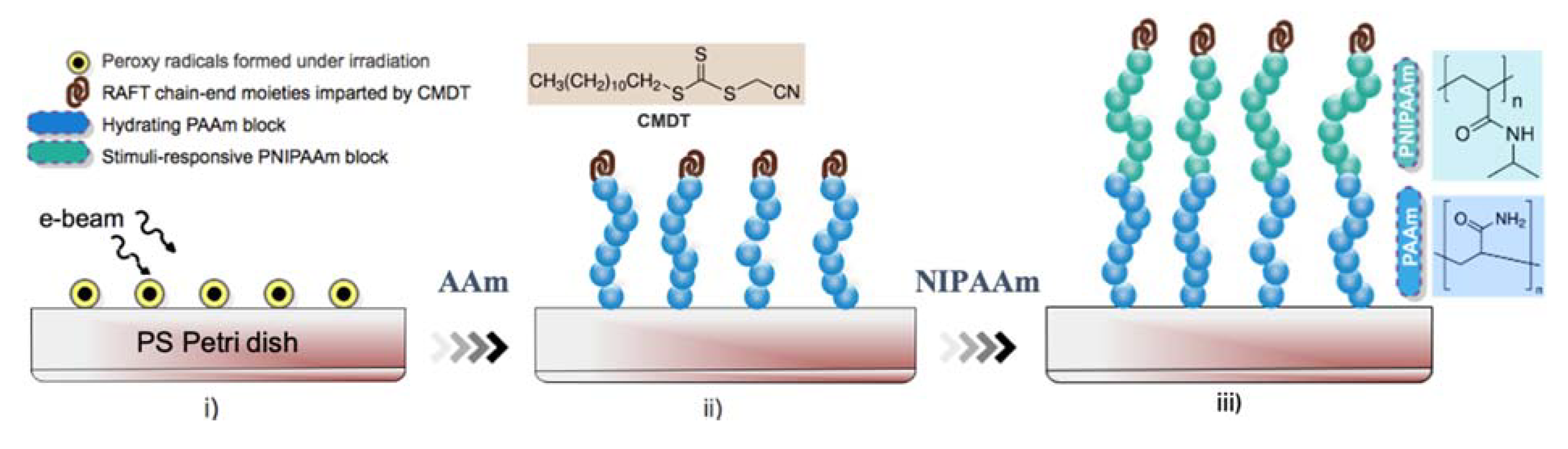 Applsci 11 07913 g003
