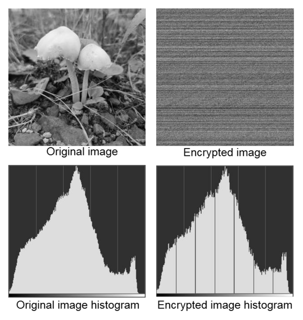 Applsci 11 07915 g005 550