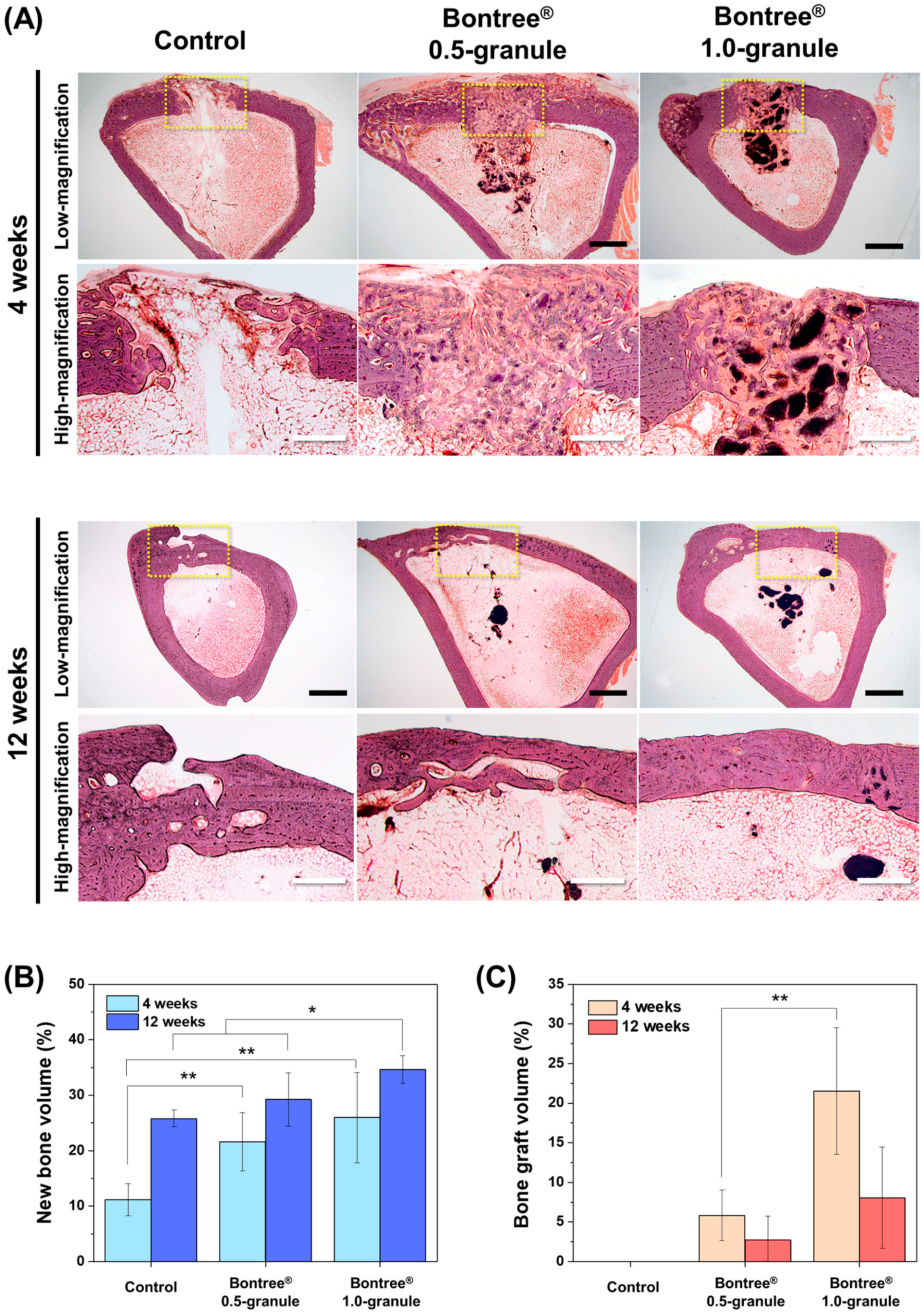 Applsci 11 07921 g003 550
