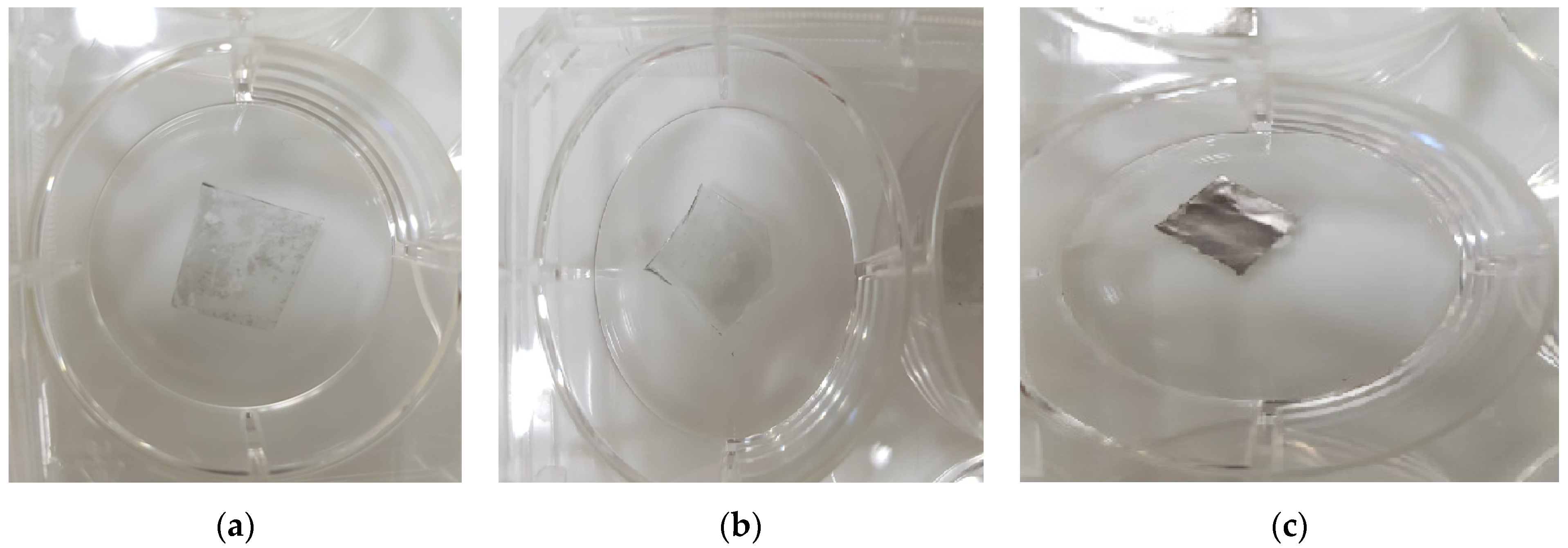 Applsci 11 07922 g005 550