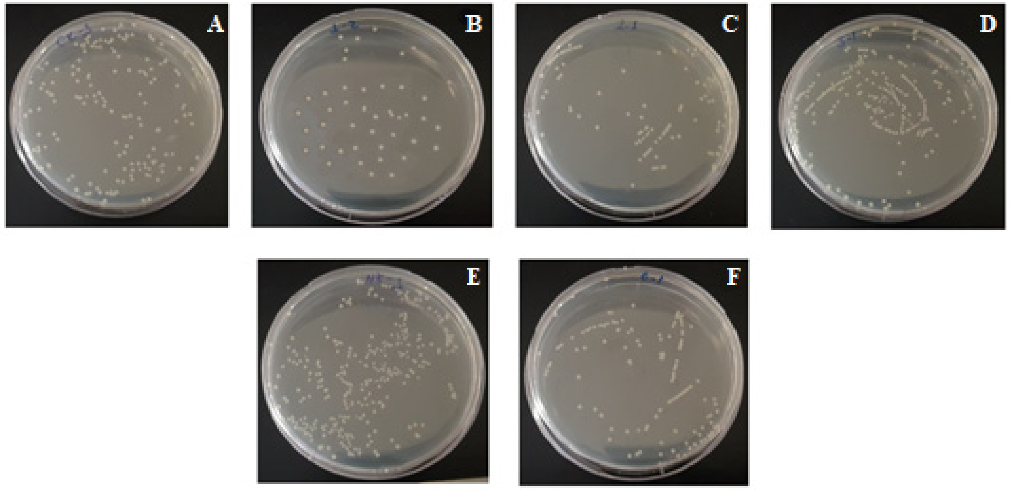 Applsci 11 07922 g009 550