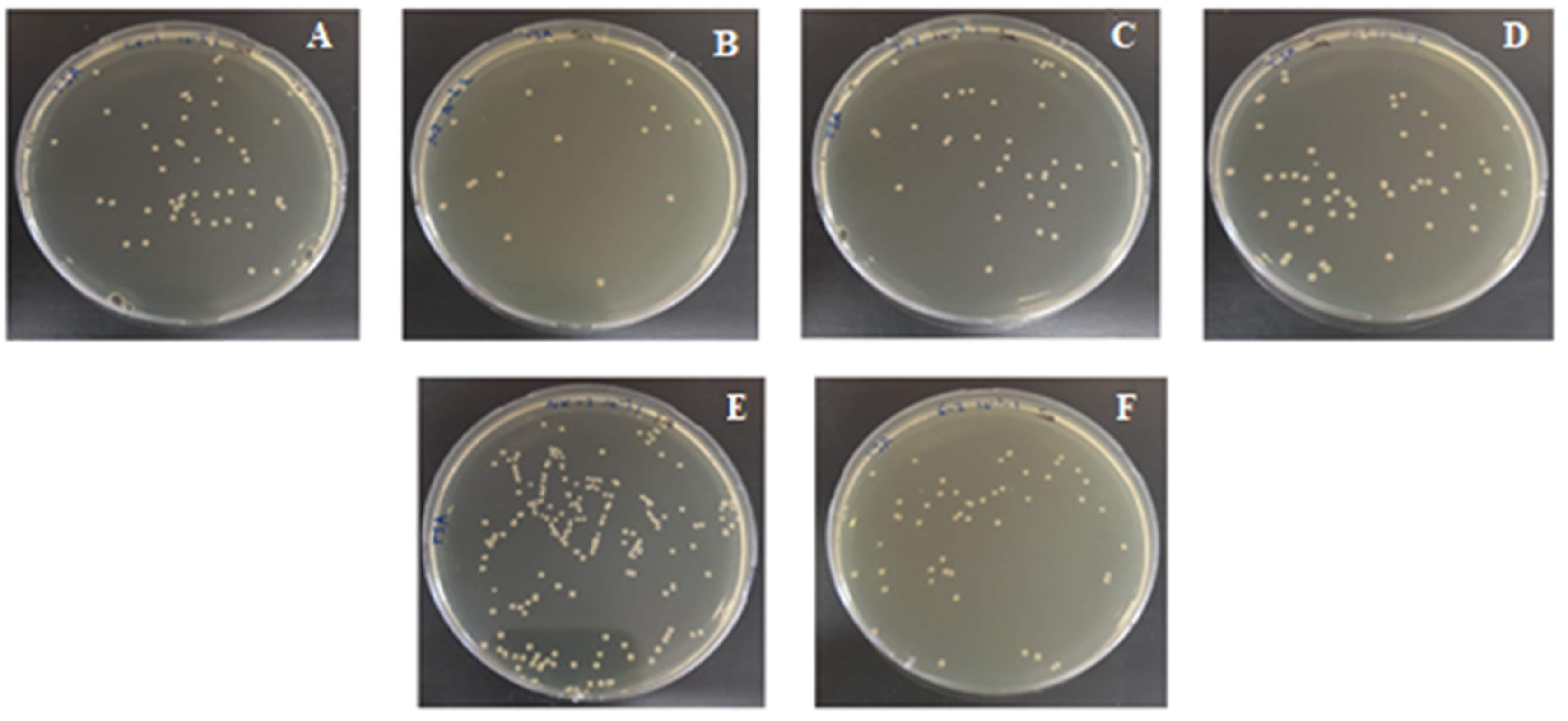 Applsci 11 07922 g010 550