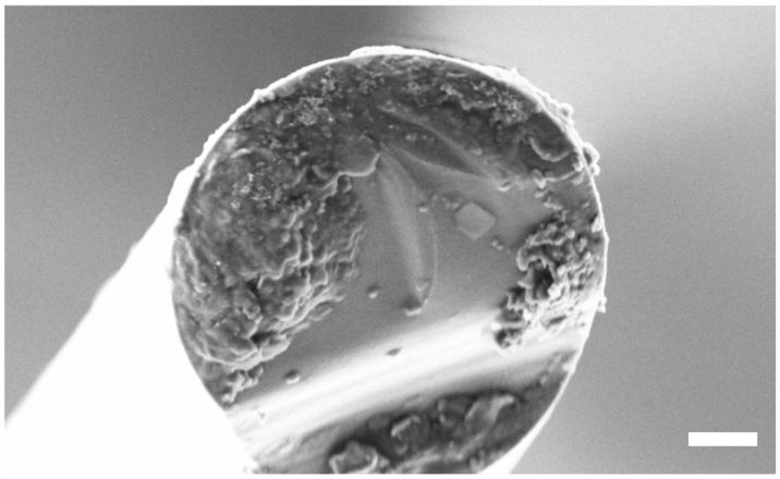 Applsci 11 07927 g010 550