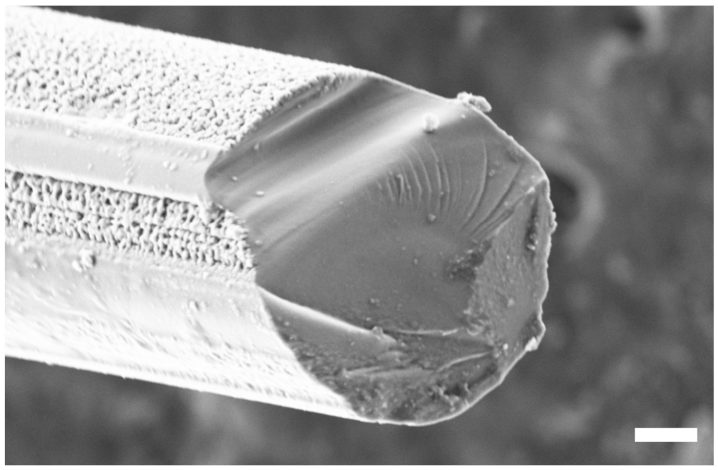 Applsci 11 07927 g011 550