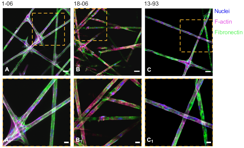 Applsci 11 07927 g014 550