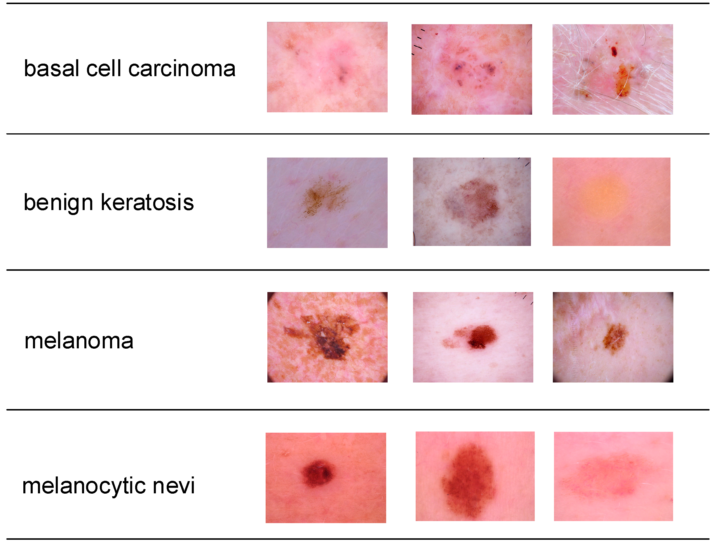 Applsci 11 07929 g001 550