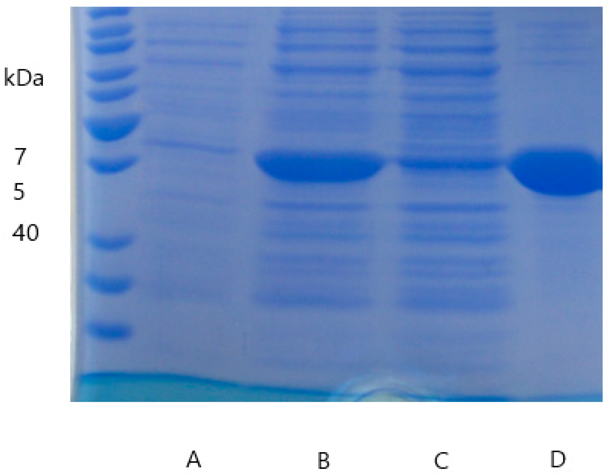 Applsci 11 07941 g0a3 550