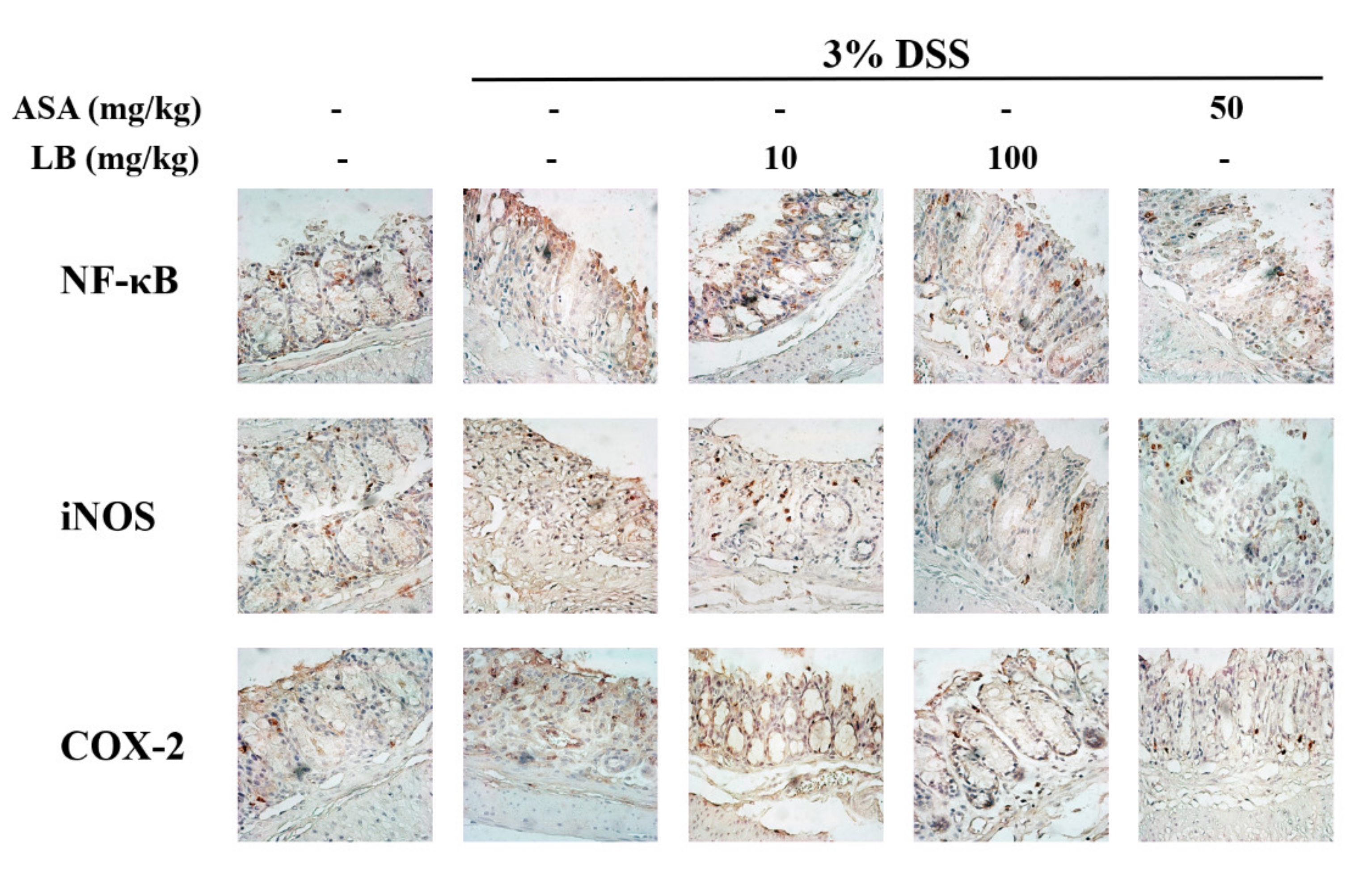 Applsci 11 07955 g004 550