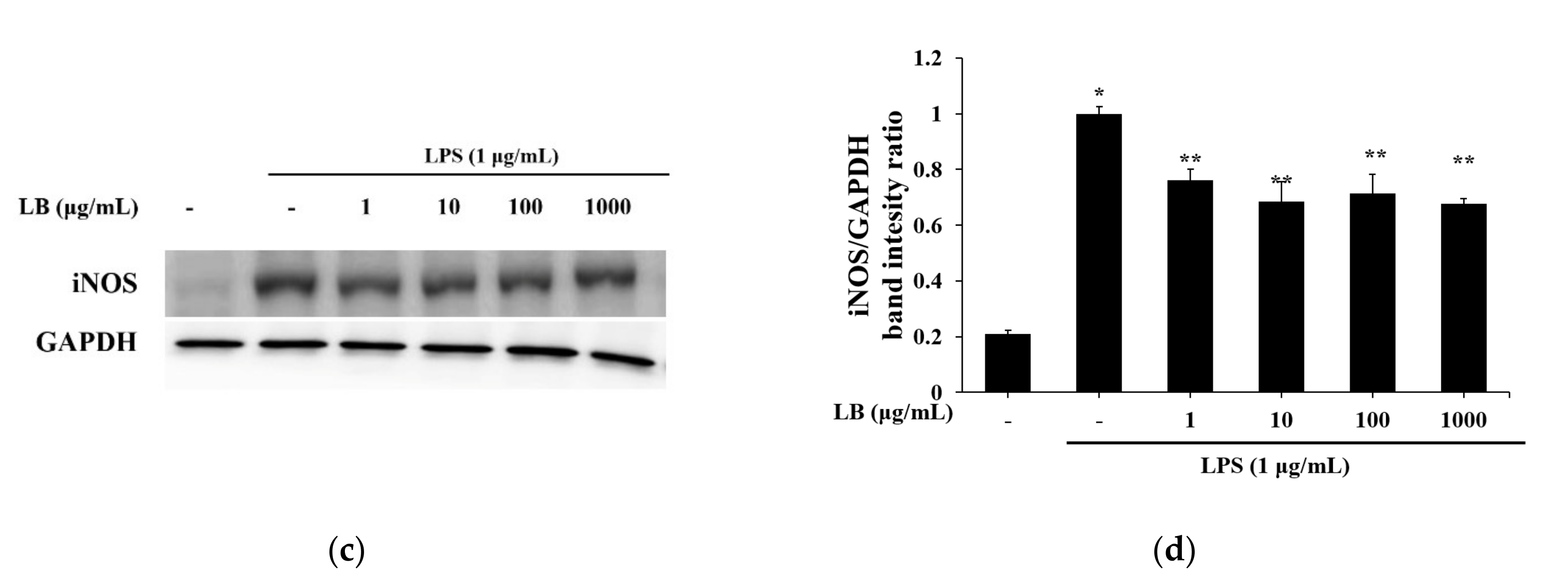 Applsci 11 07955 g006b 550