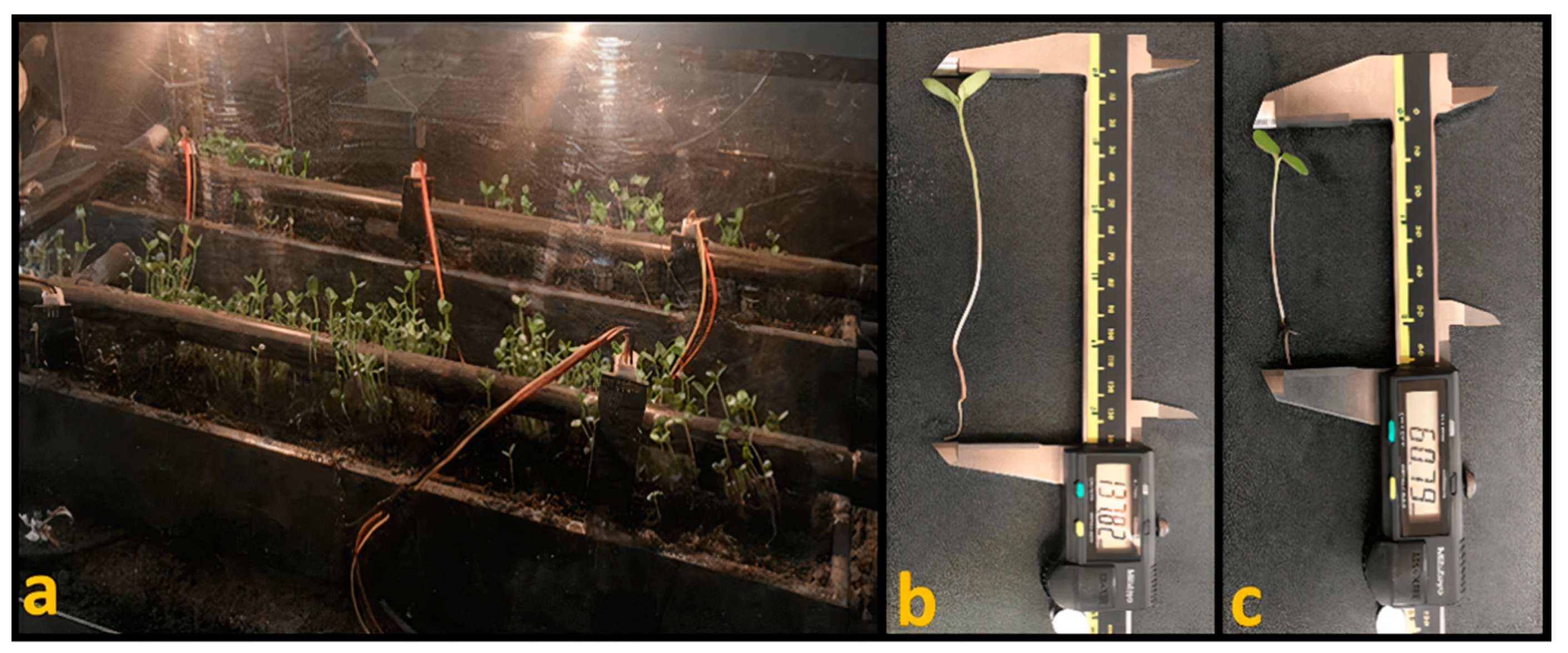 Applsci 11 07957 g007 Applsci 11 07957 g007