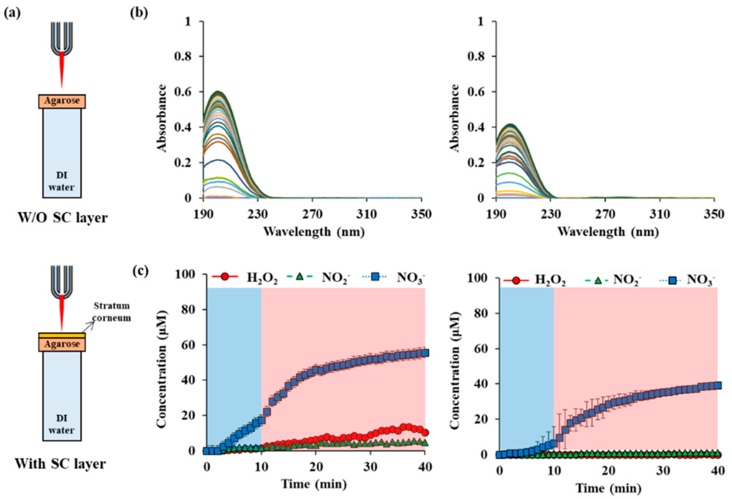Applsci 11 07958 g006