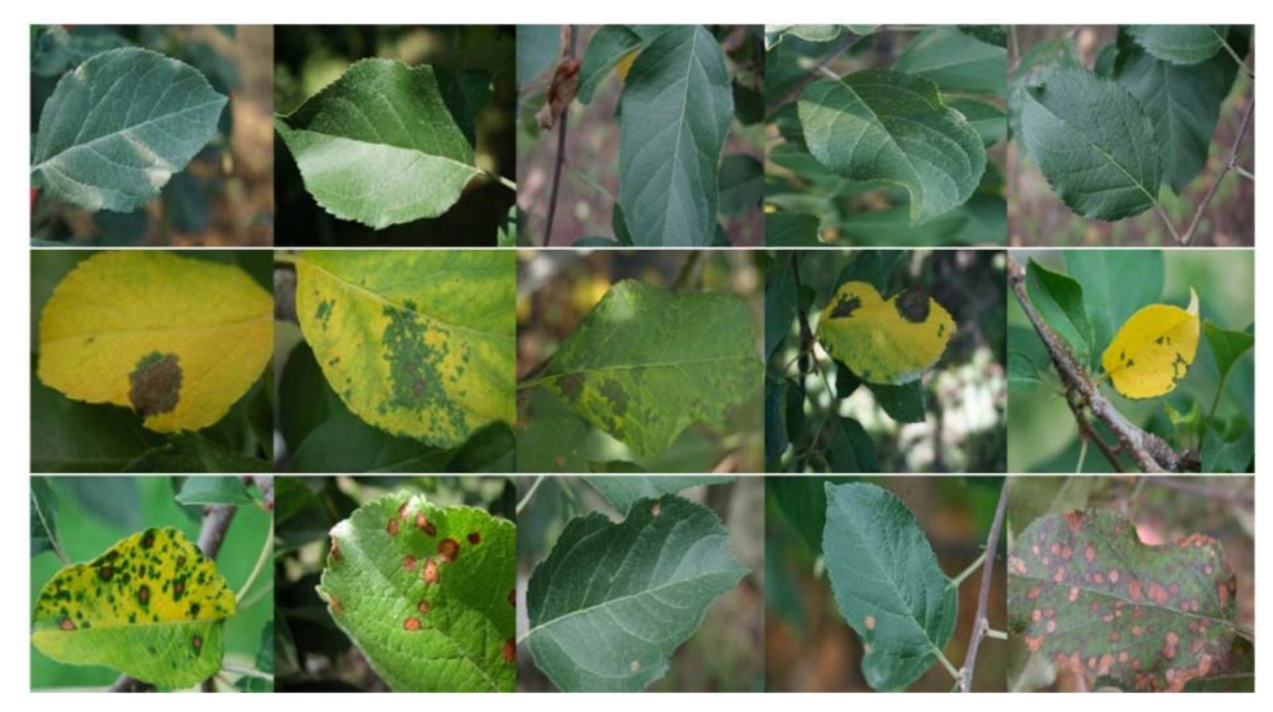 Applsci 11 07960 g006