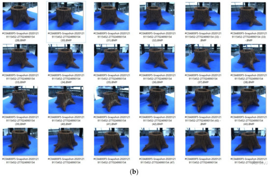 【ギフ_包装】 Dense Robust 3D Reconstruction and Measurement for 3D その他