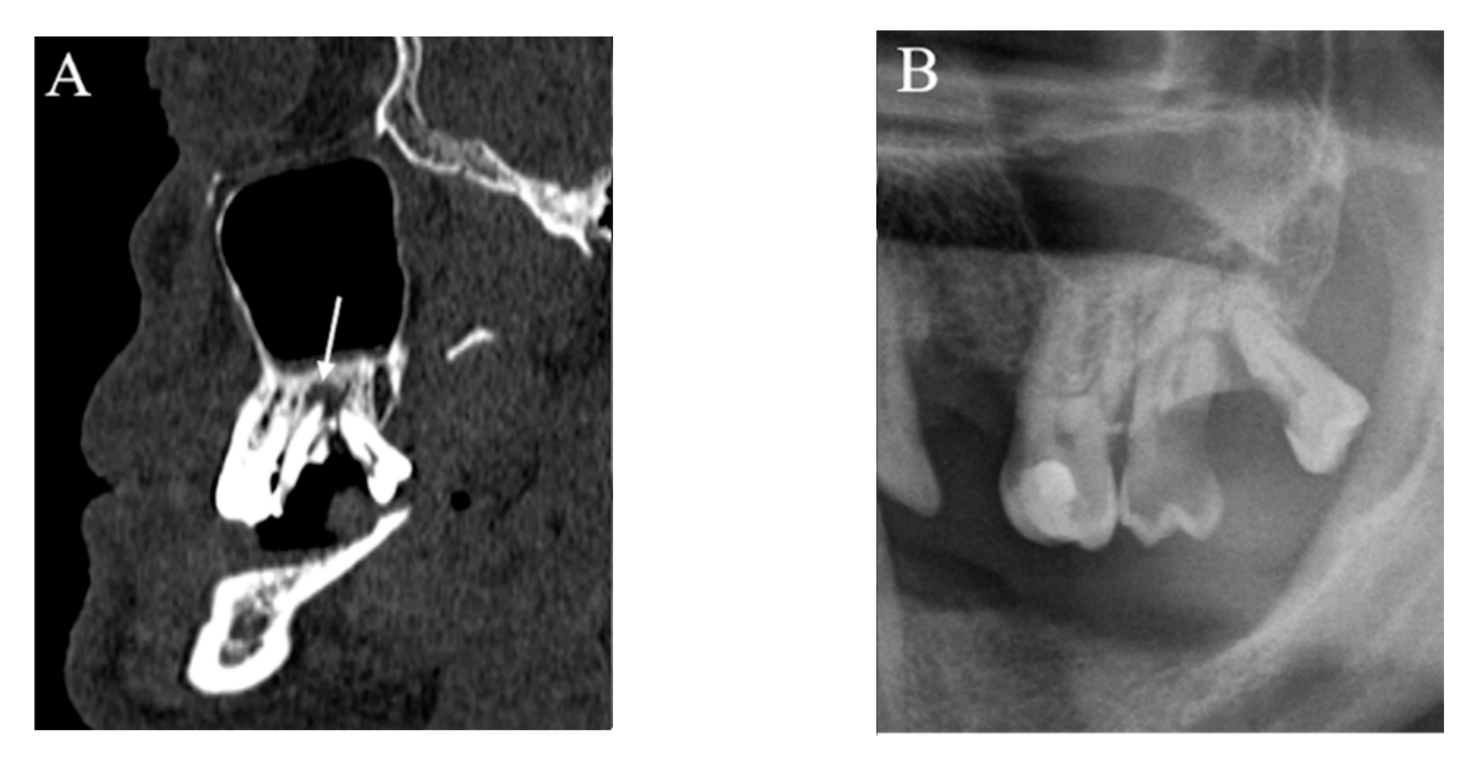 Applsci 11 07965 g003