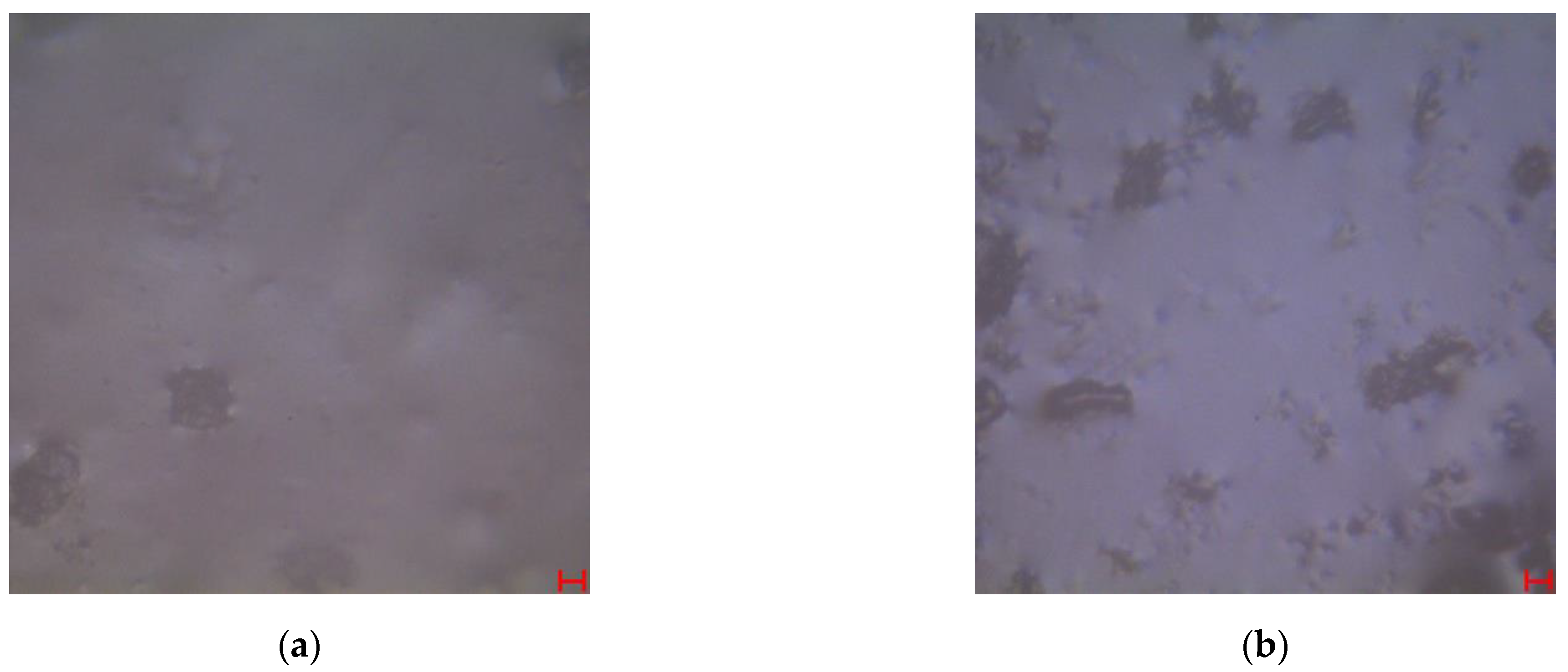 Applsci 11 07992 g009