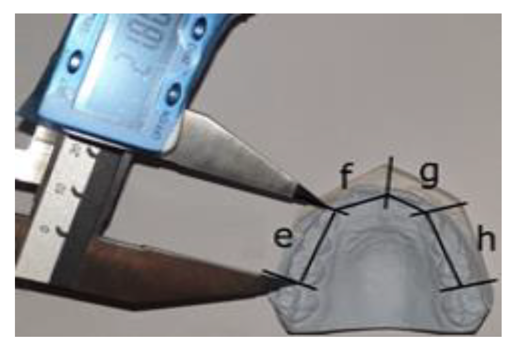 Applsci 11 08004 g001