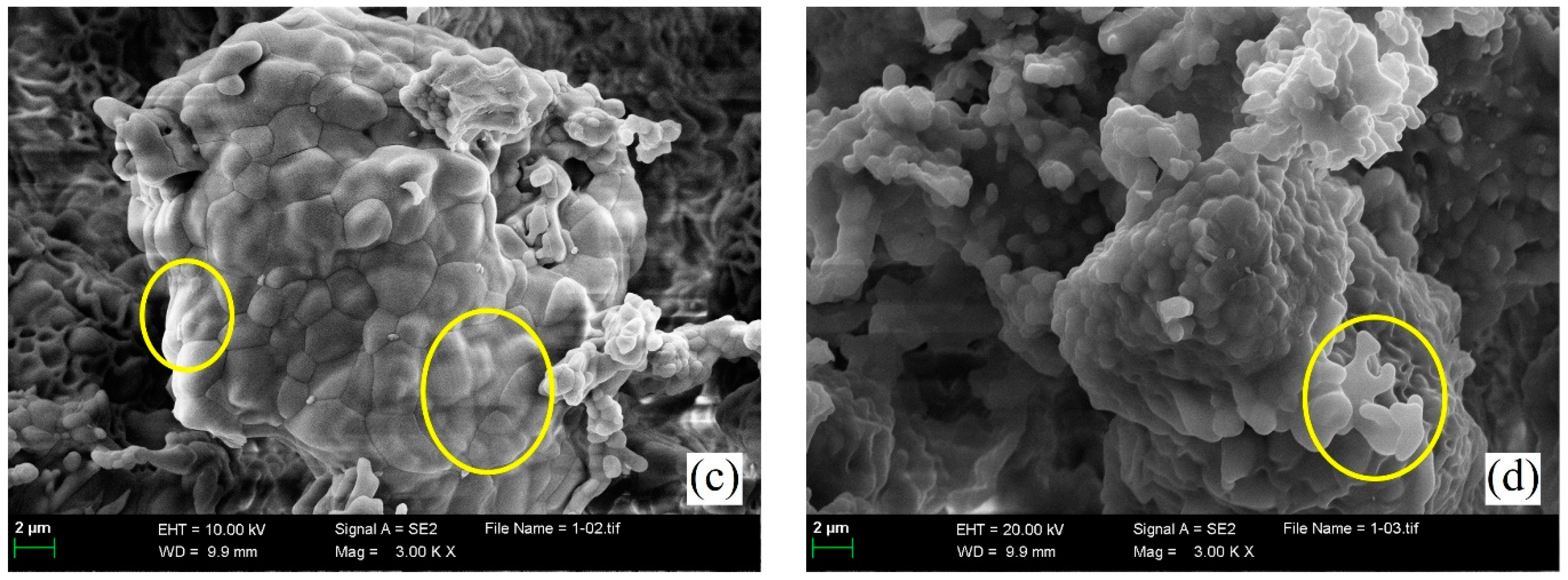 Applsci 11 08015 g007b