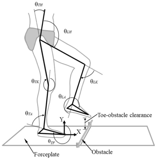 Aging Affects Multi-Objective Optimal Control Strategies during 