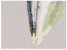 Applsci 11 08047 i016