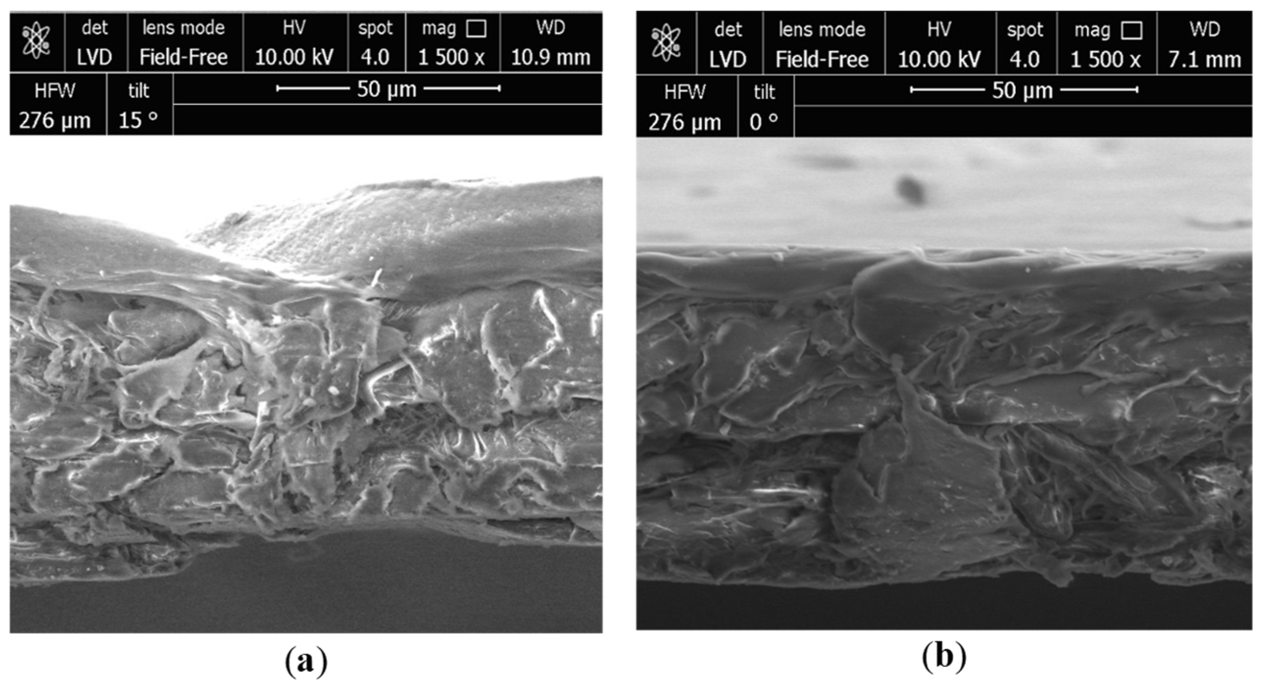Applsci 11 08058 g003