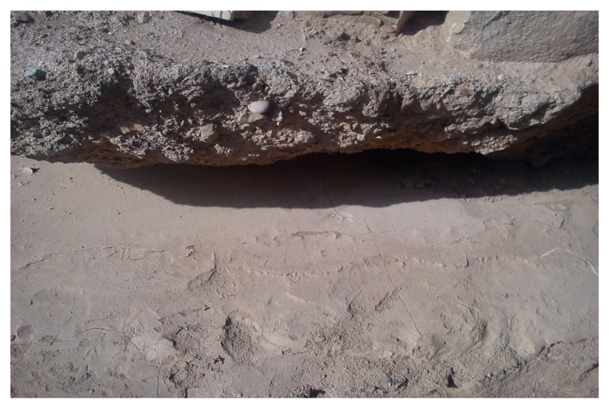 Applsci 11 08060 g022