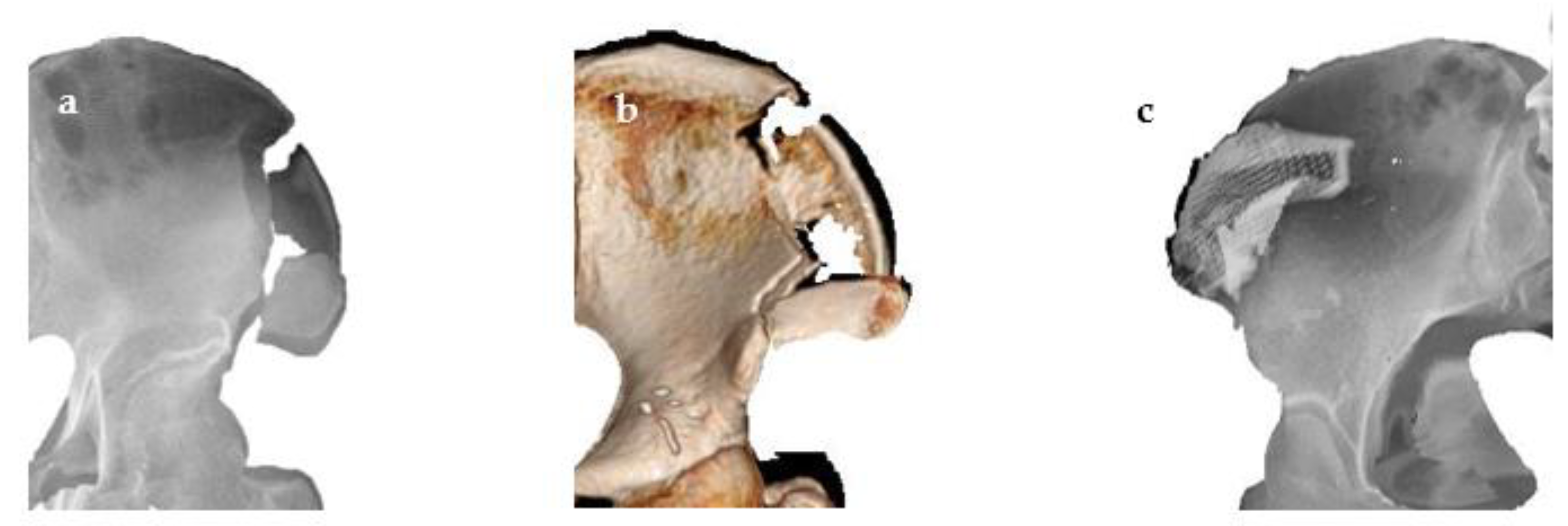 Applsci 11 08081 g001 Applsci 11 08081 g001