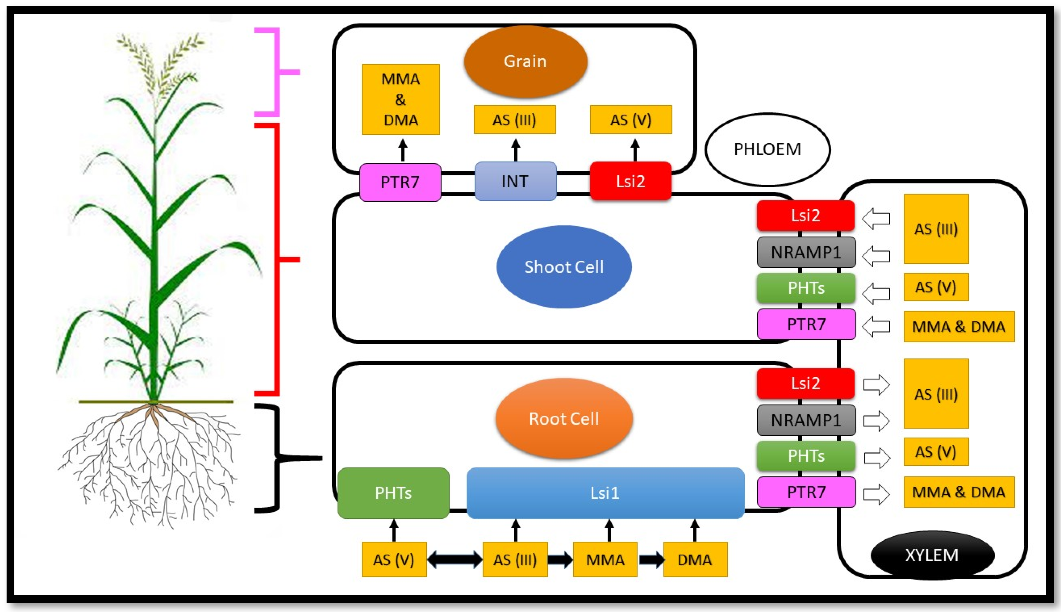 Applsci 11 08090 g001 Applsci 11 08090 g001