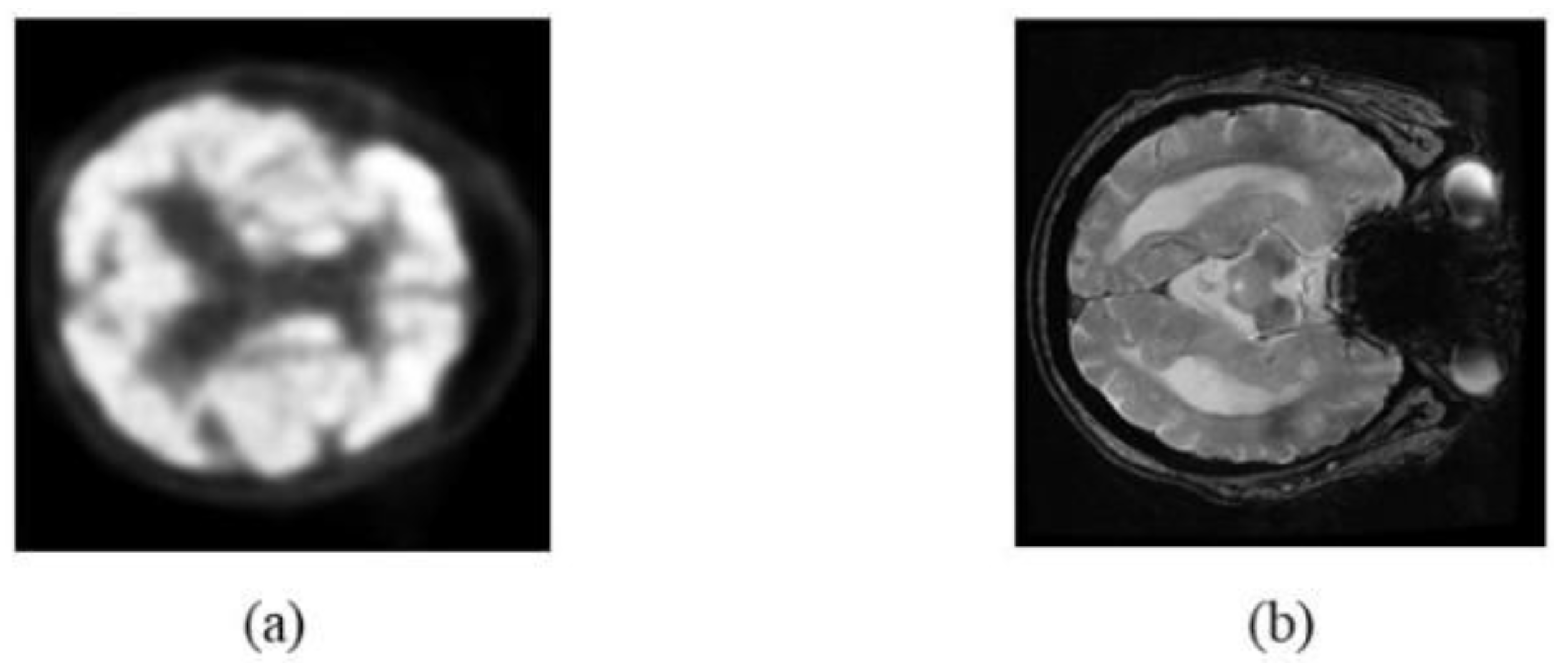 Applsci 11 08104 g005