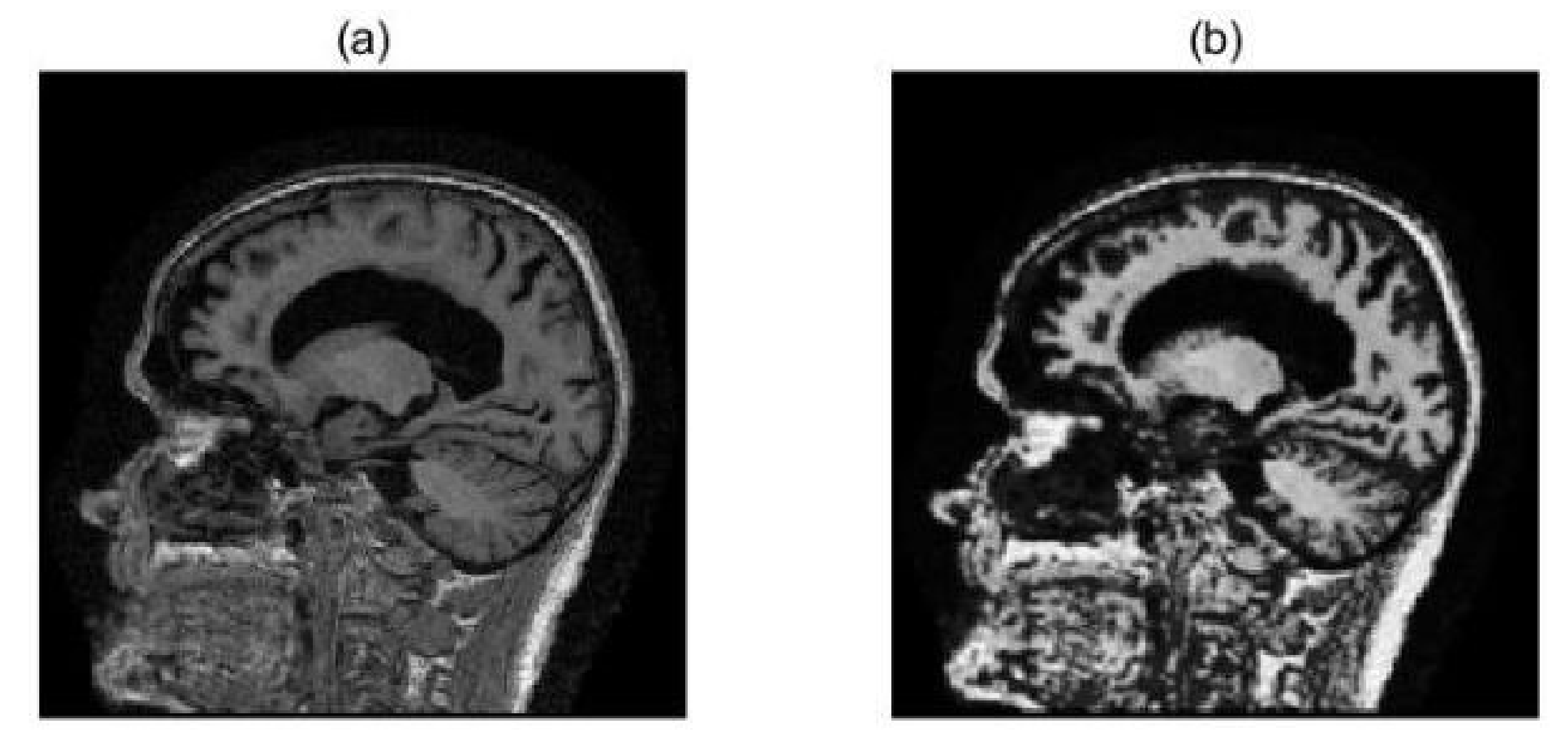 Applsci 11 08104 g010