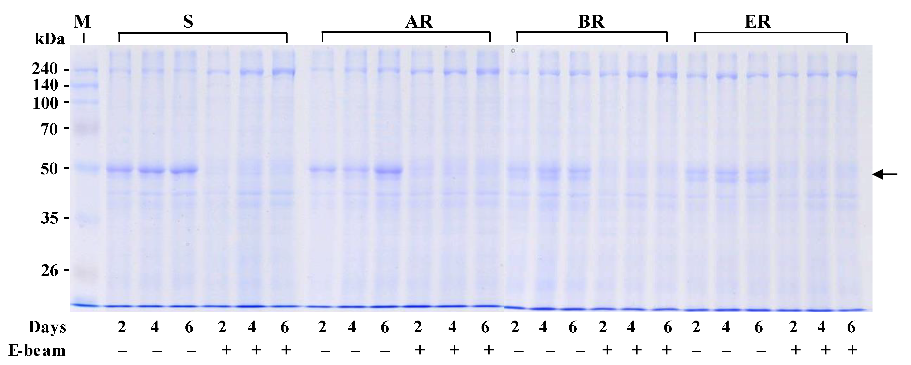 Applsci 11 08116 g001 Applsci 11 08116 g001