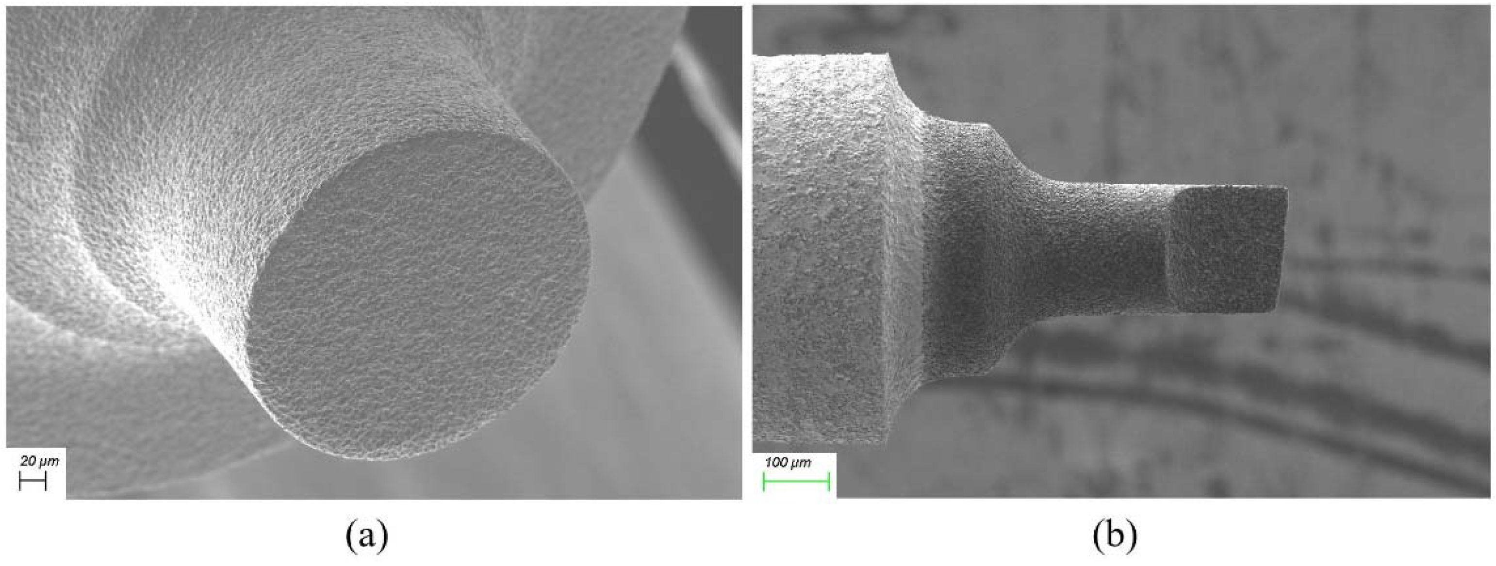 Applsci 11 08119 g003