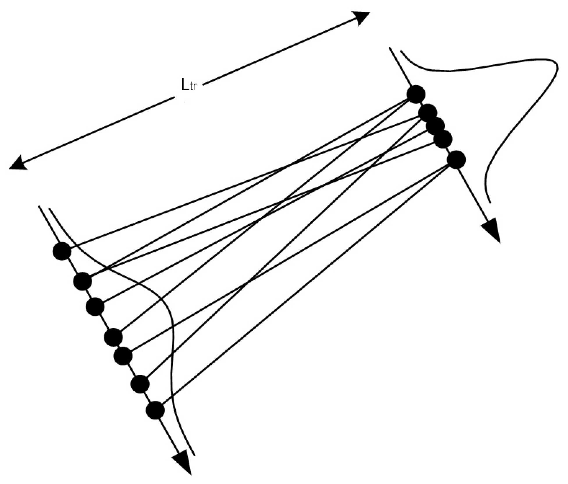 Applsci 11 08126 g001