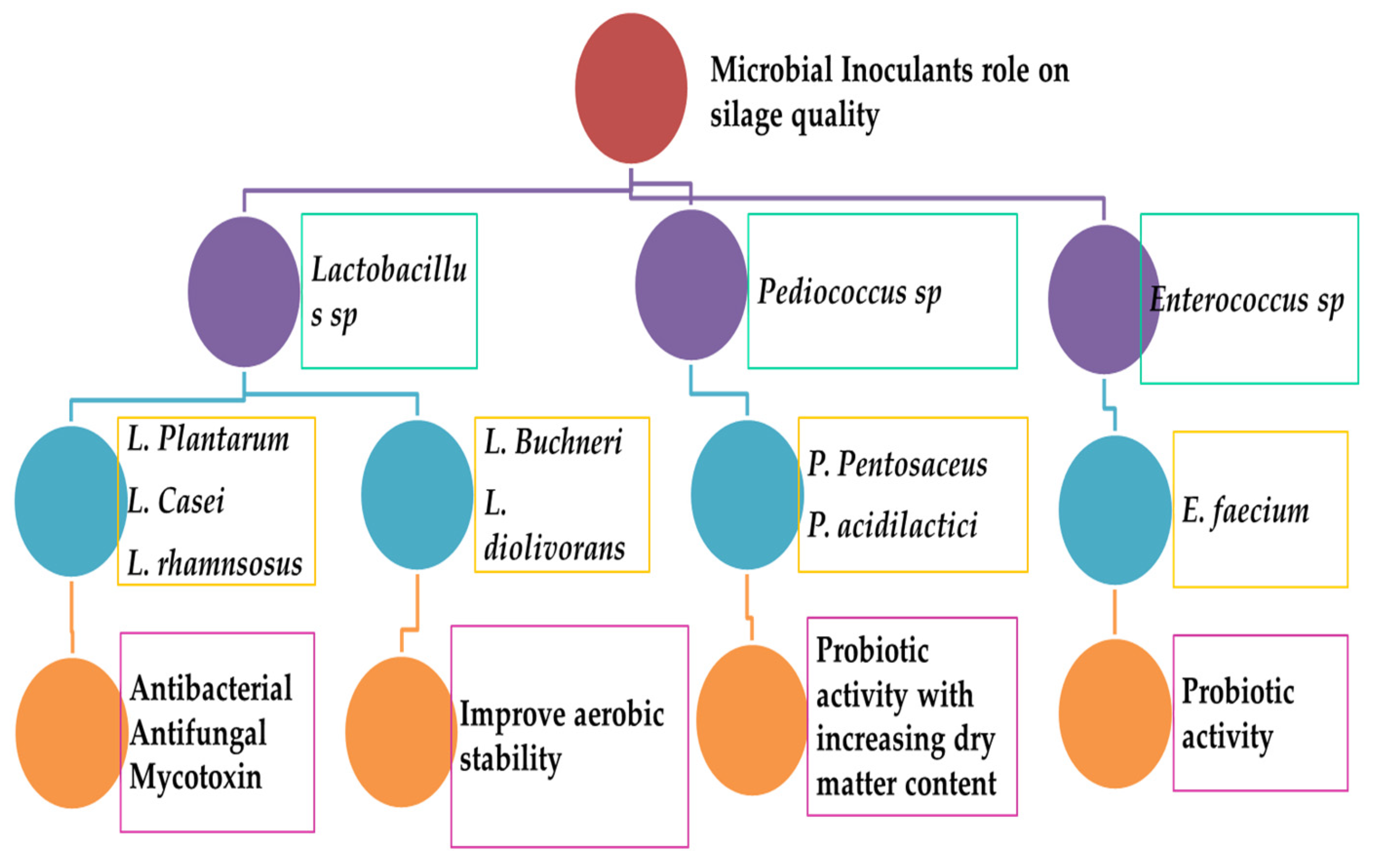 Applsci 11 08127 g004