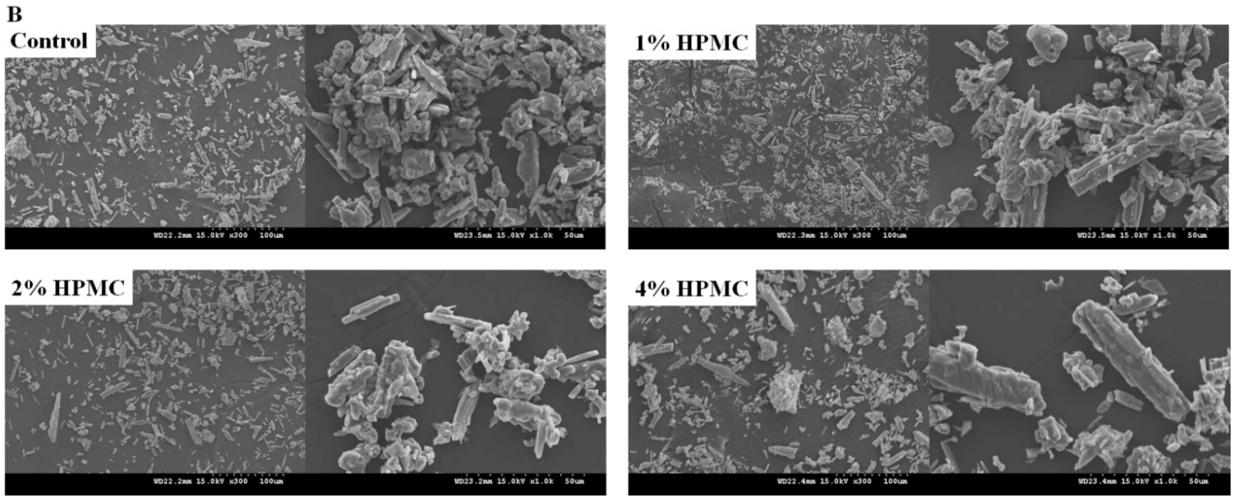 Applsci 11 08136 g003b Applsci 11 08136 g003b