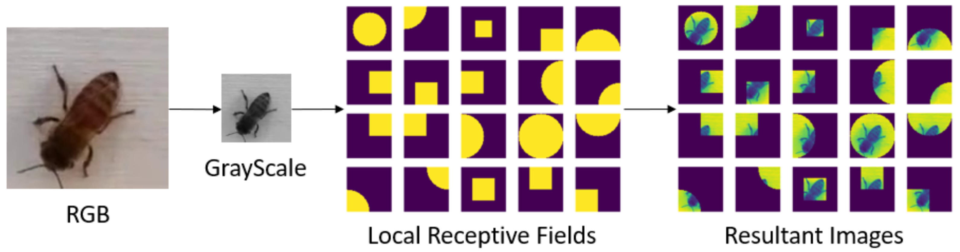 Applsci 11 08141 g001 550