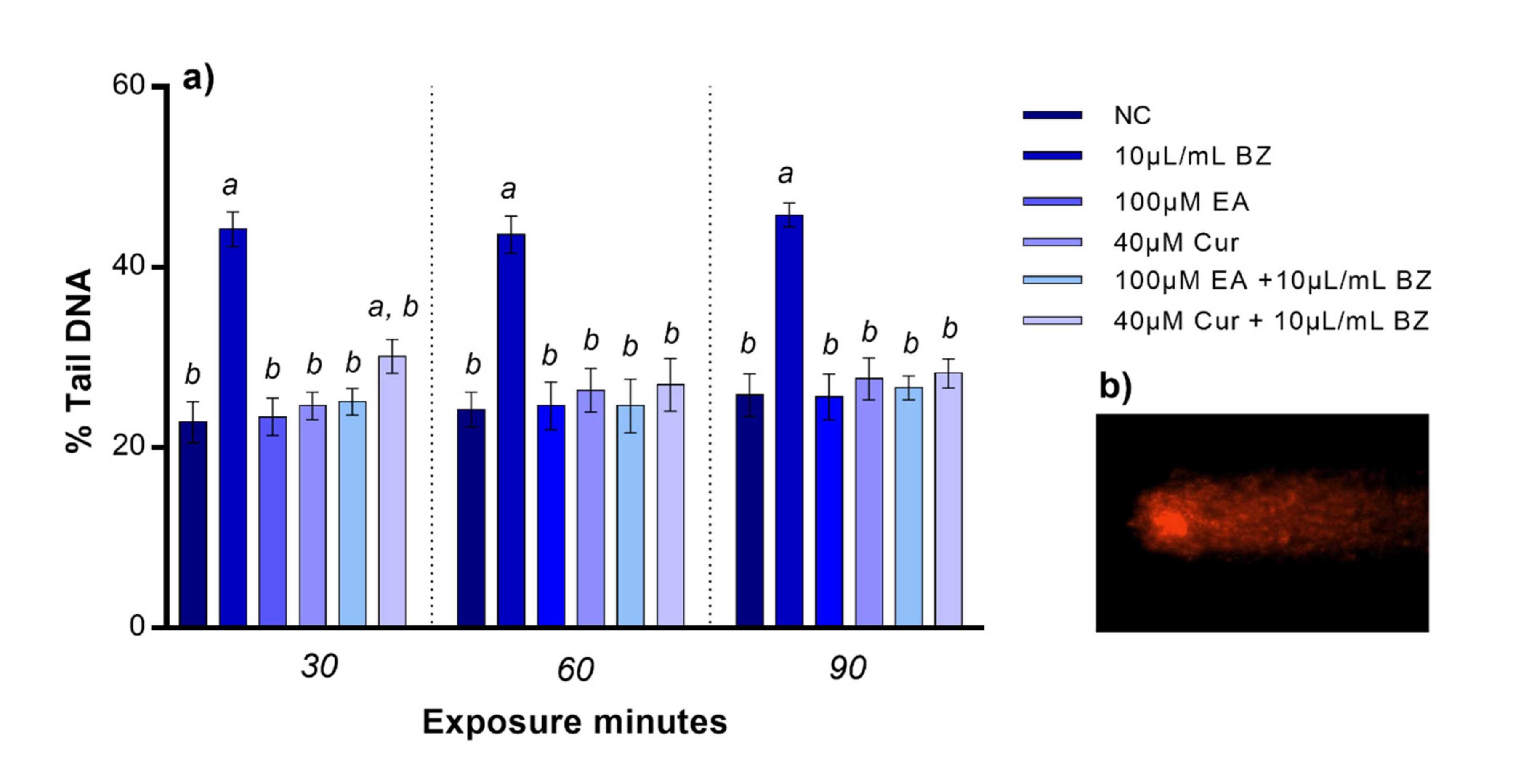 Applsci 11 08142 g002 550