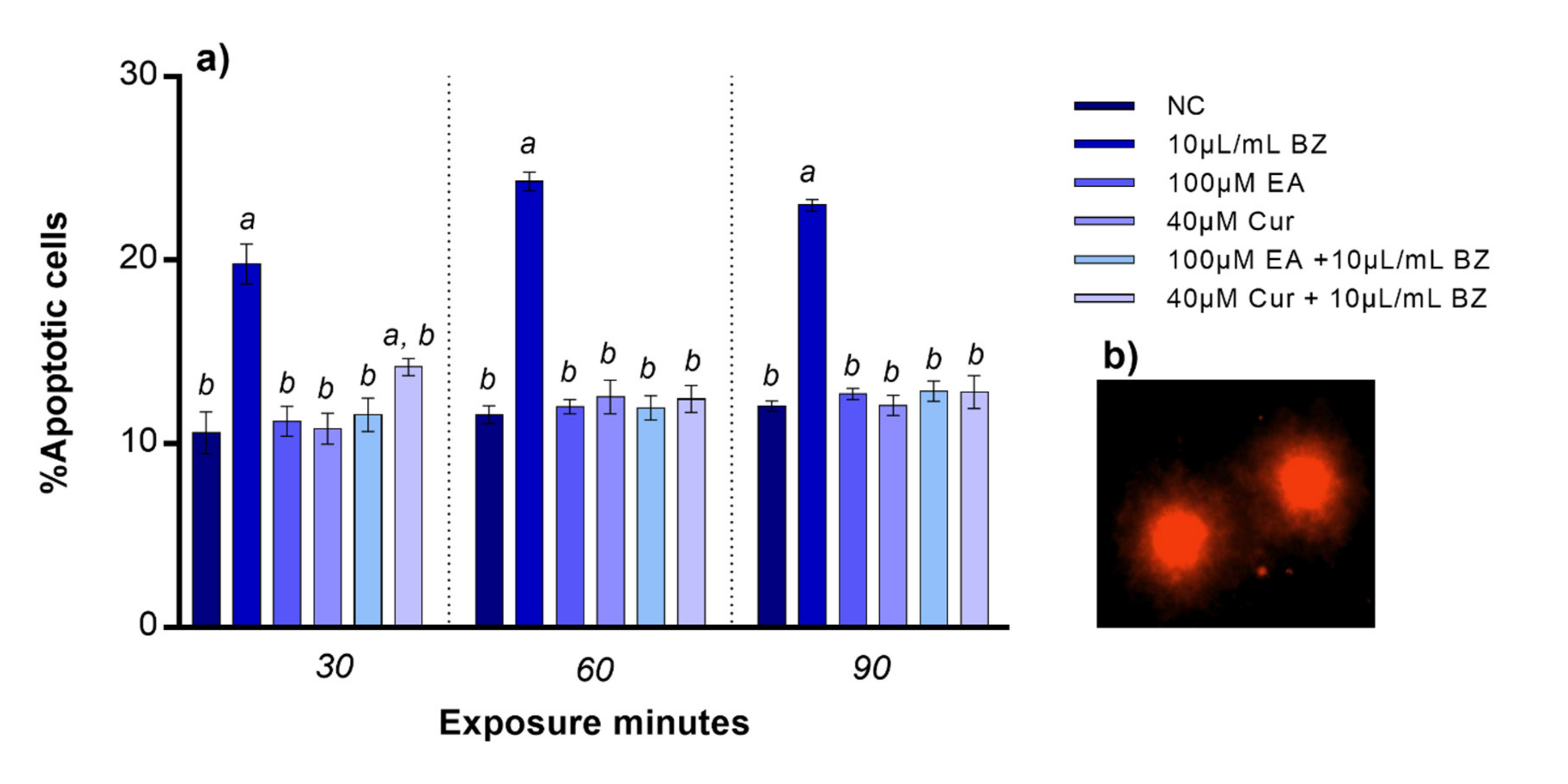 Applsci 11 08142 g003 550